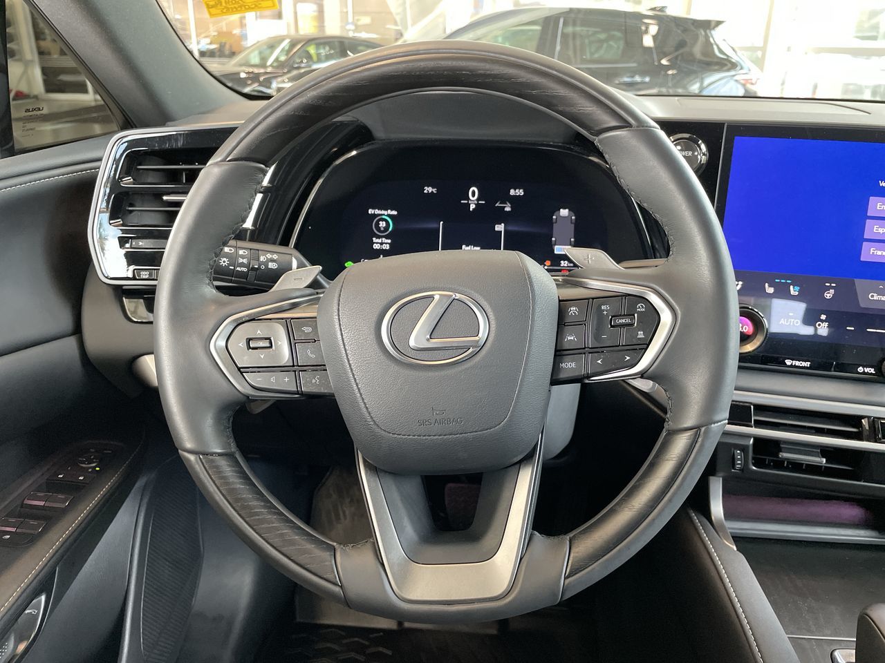 2025 Lexus RX