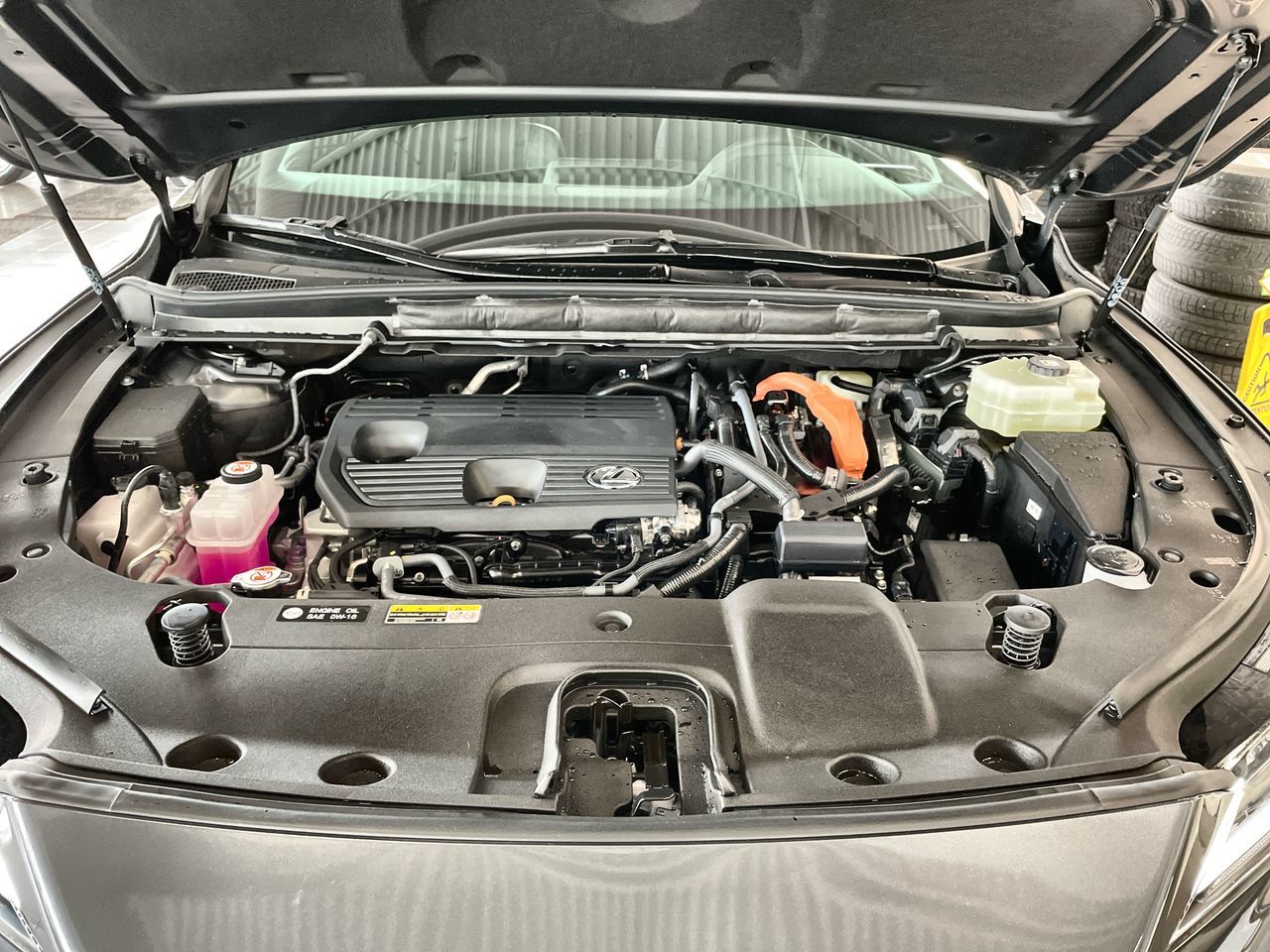 2026 Lexus RX in Vancouver, British Columbia