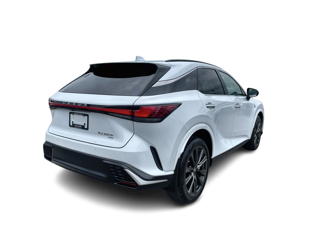 2025  RX
