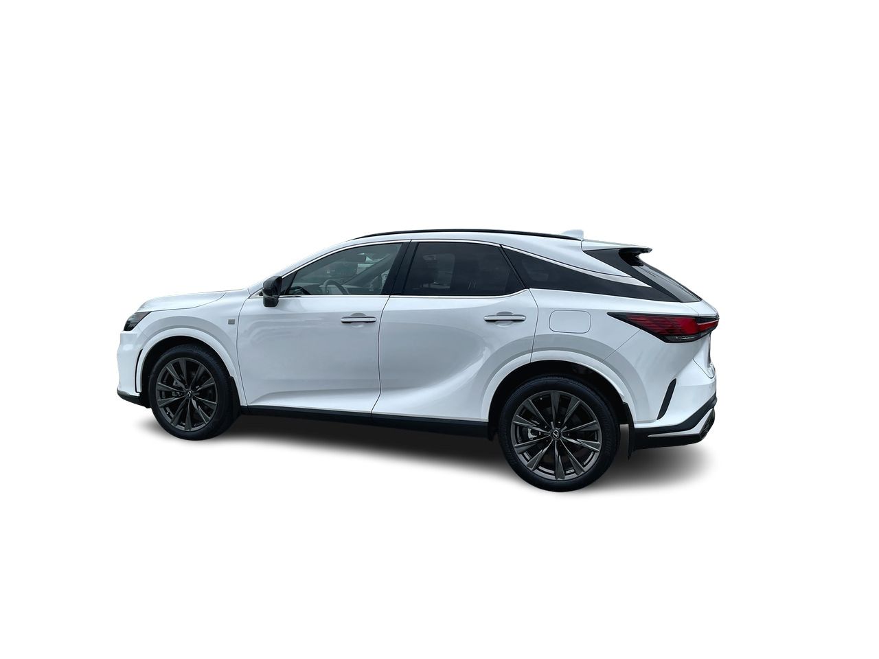 2025  RX