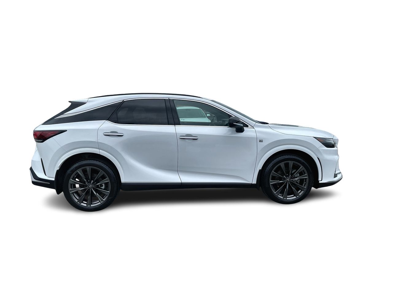 2025  RX