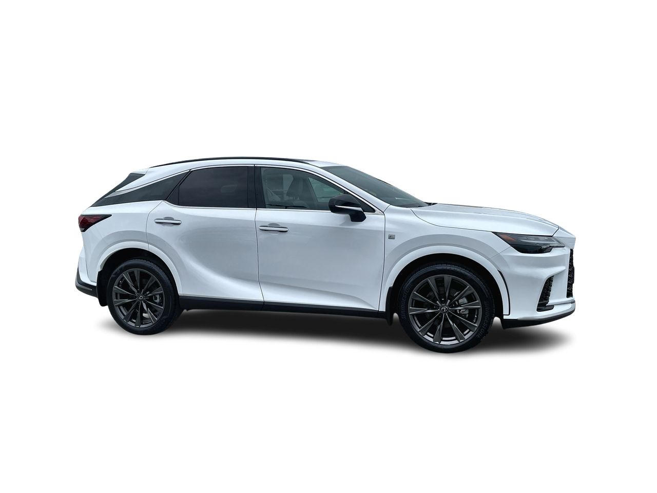 2025  RX