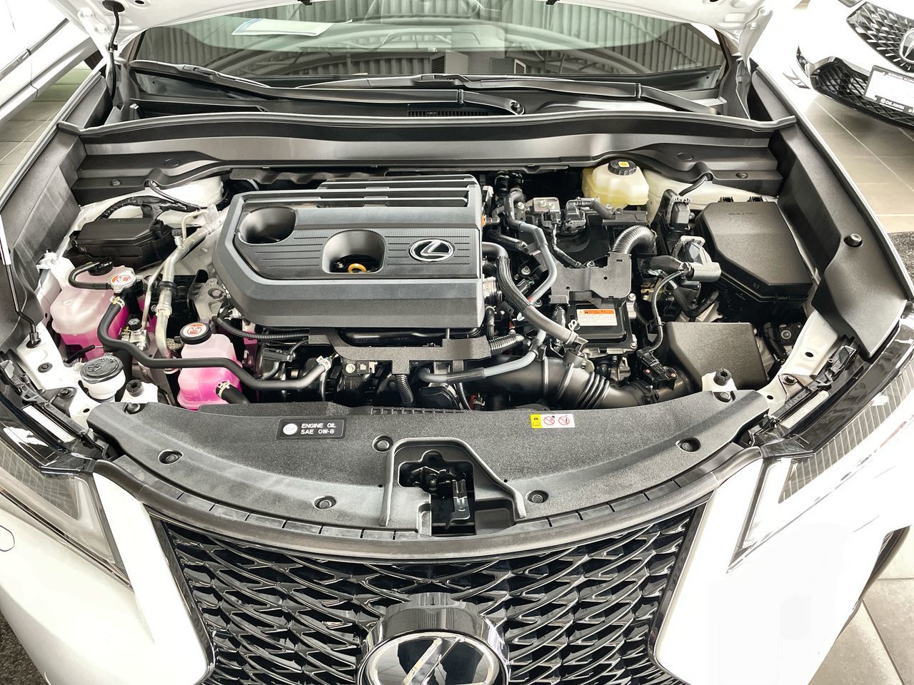 2026 Lexus UX in Vancouver, British Columbia