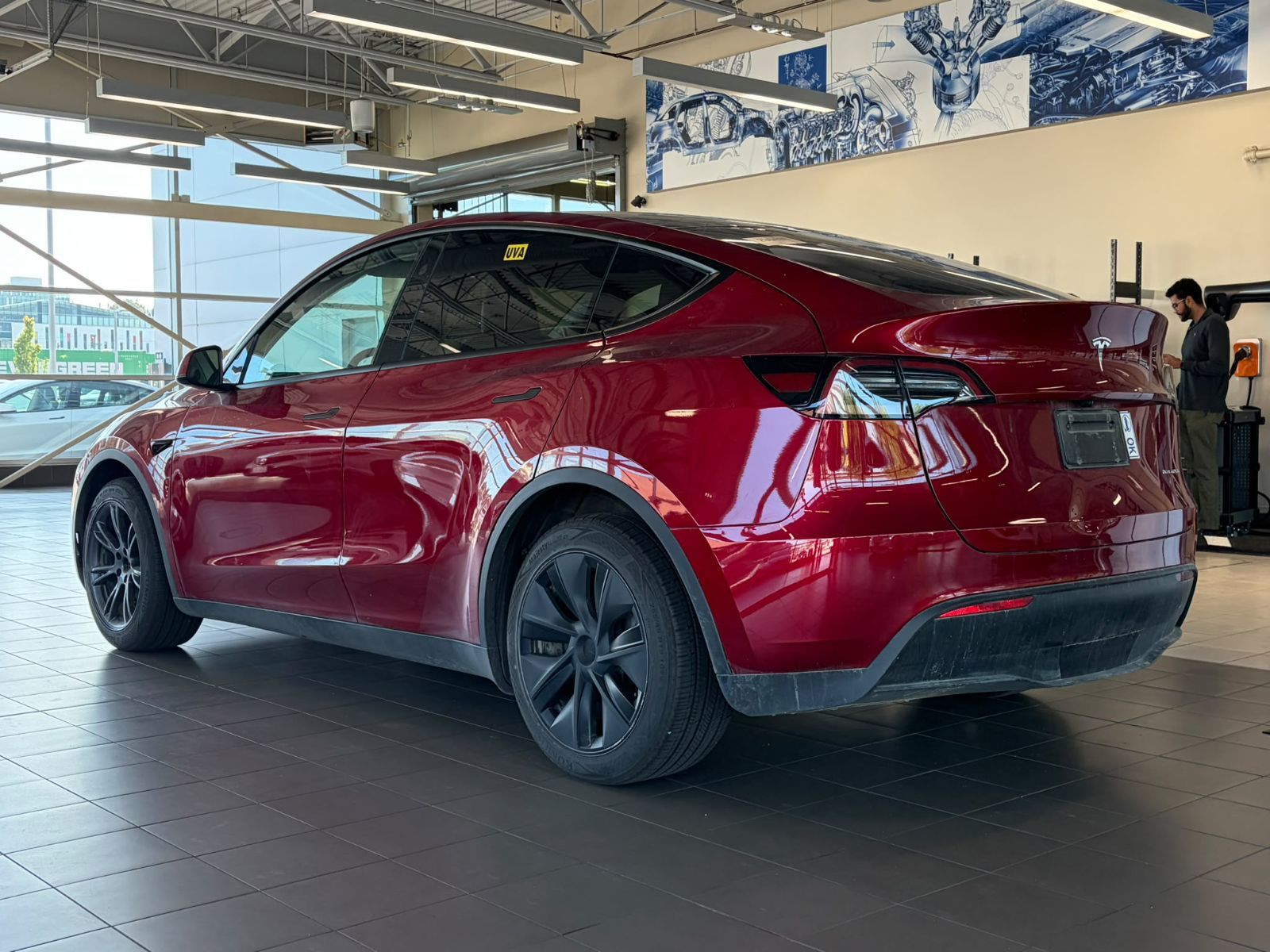 2025 Tesla Model Y