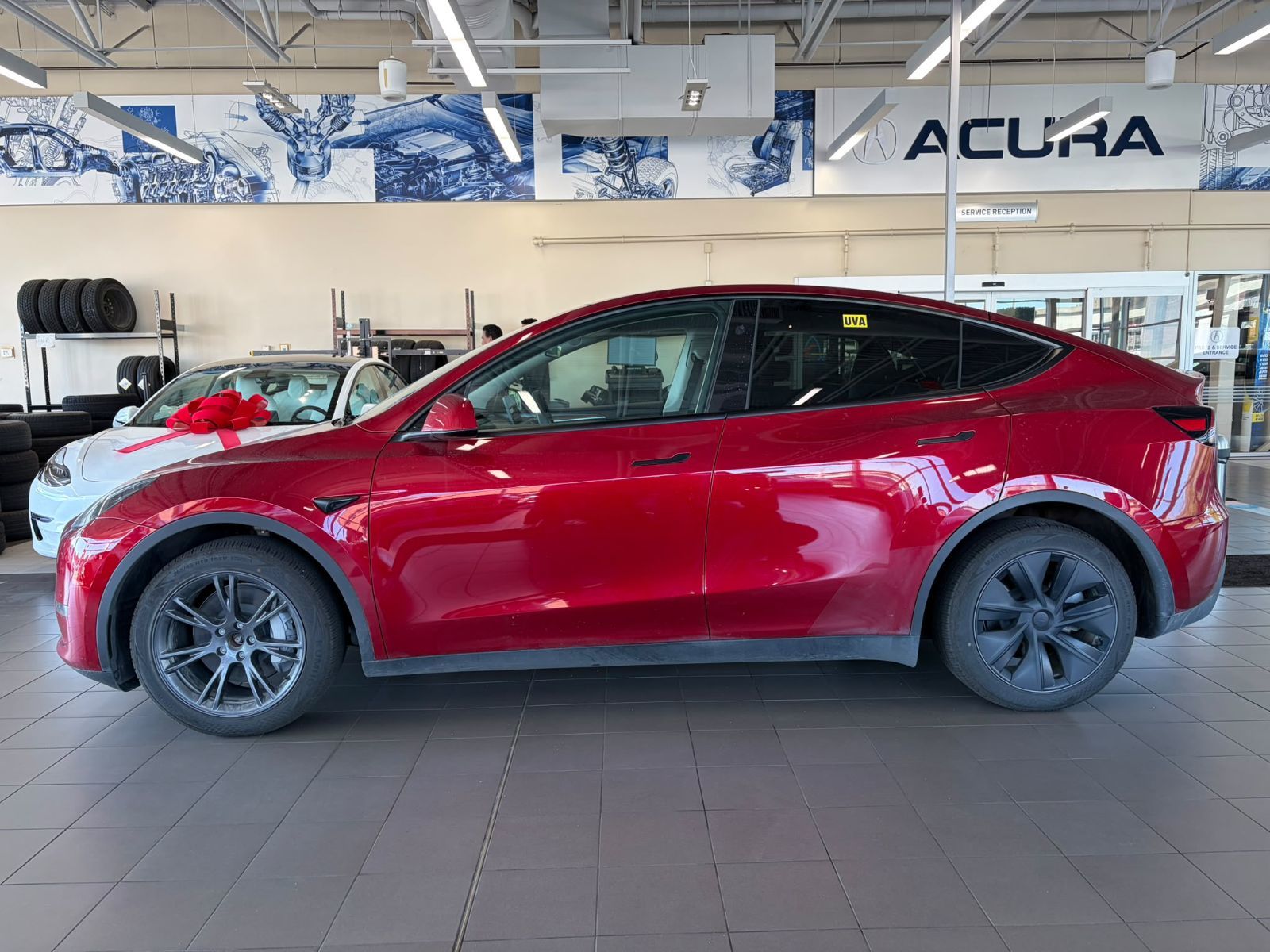 2025 Tesla Model Y