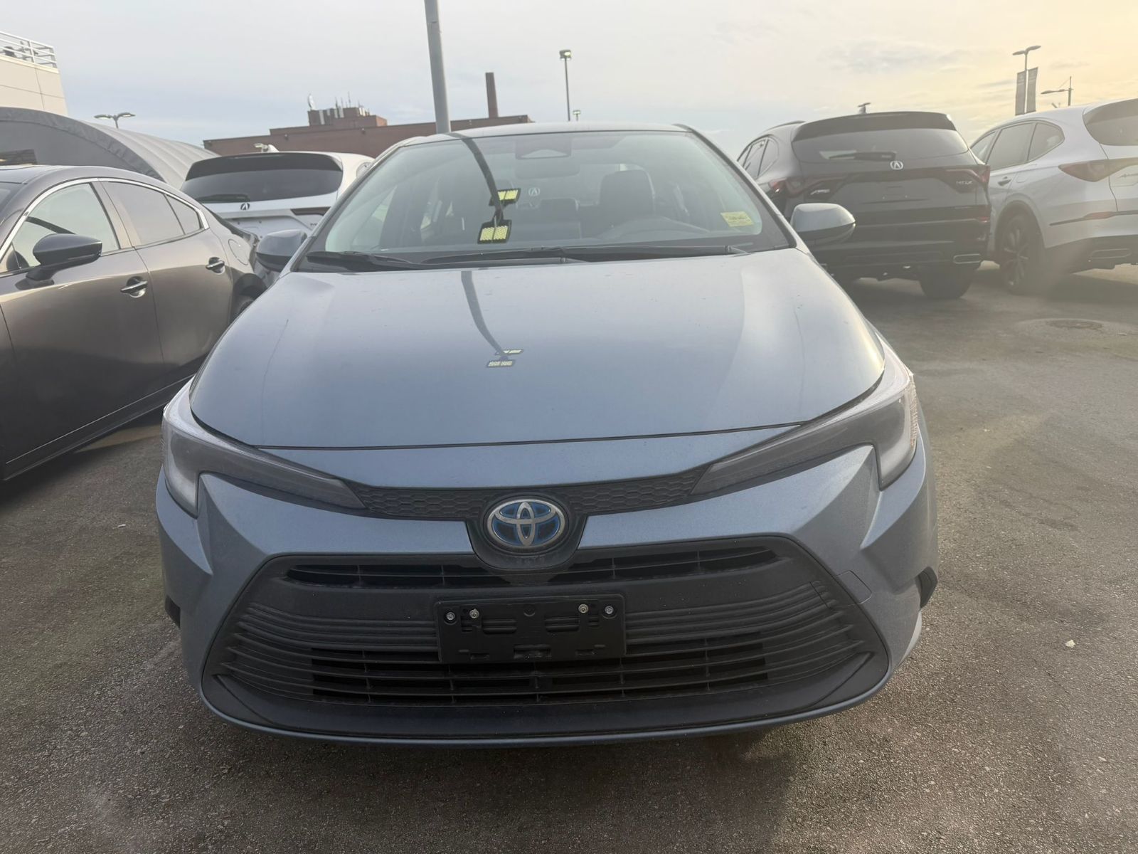 2025  Corolla Hybrid