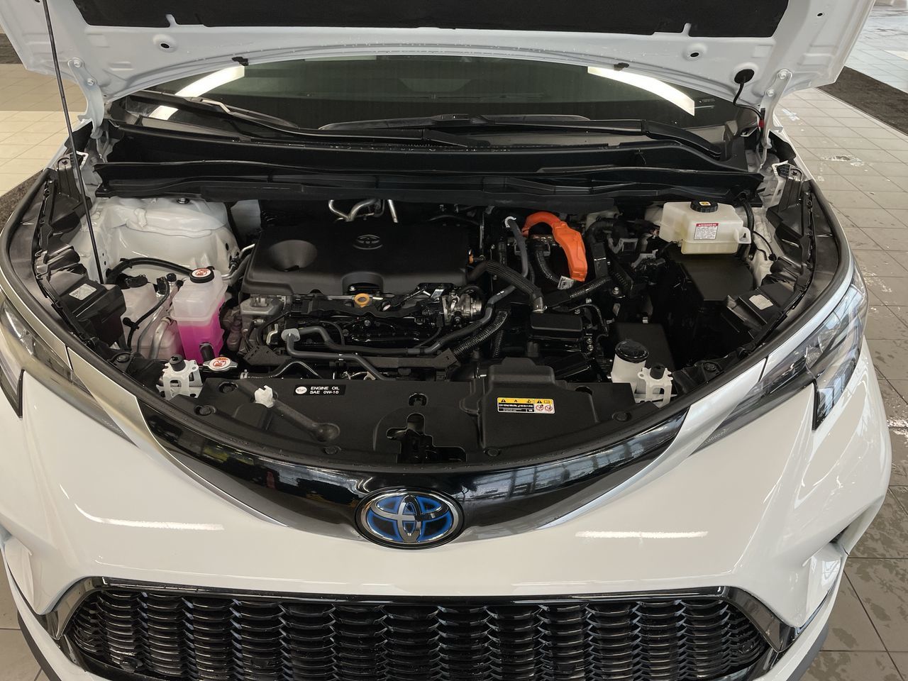 2024 Toyota Sienna Hybrid