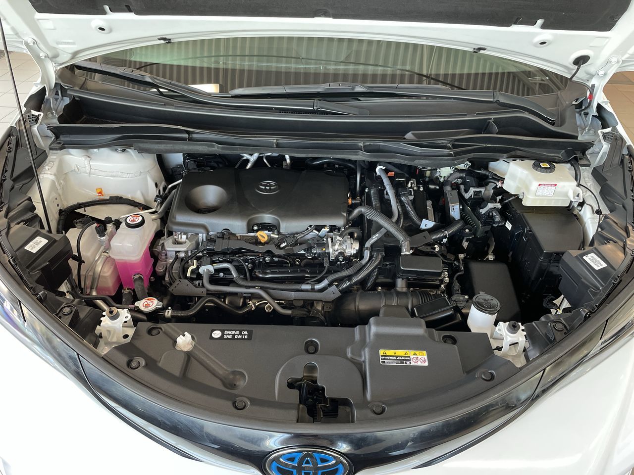 2025  Sienna Hybrid