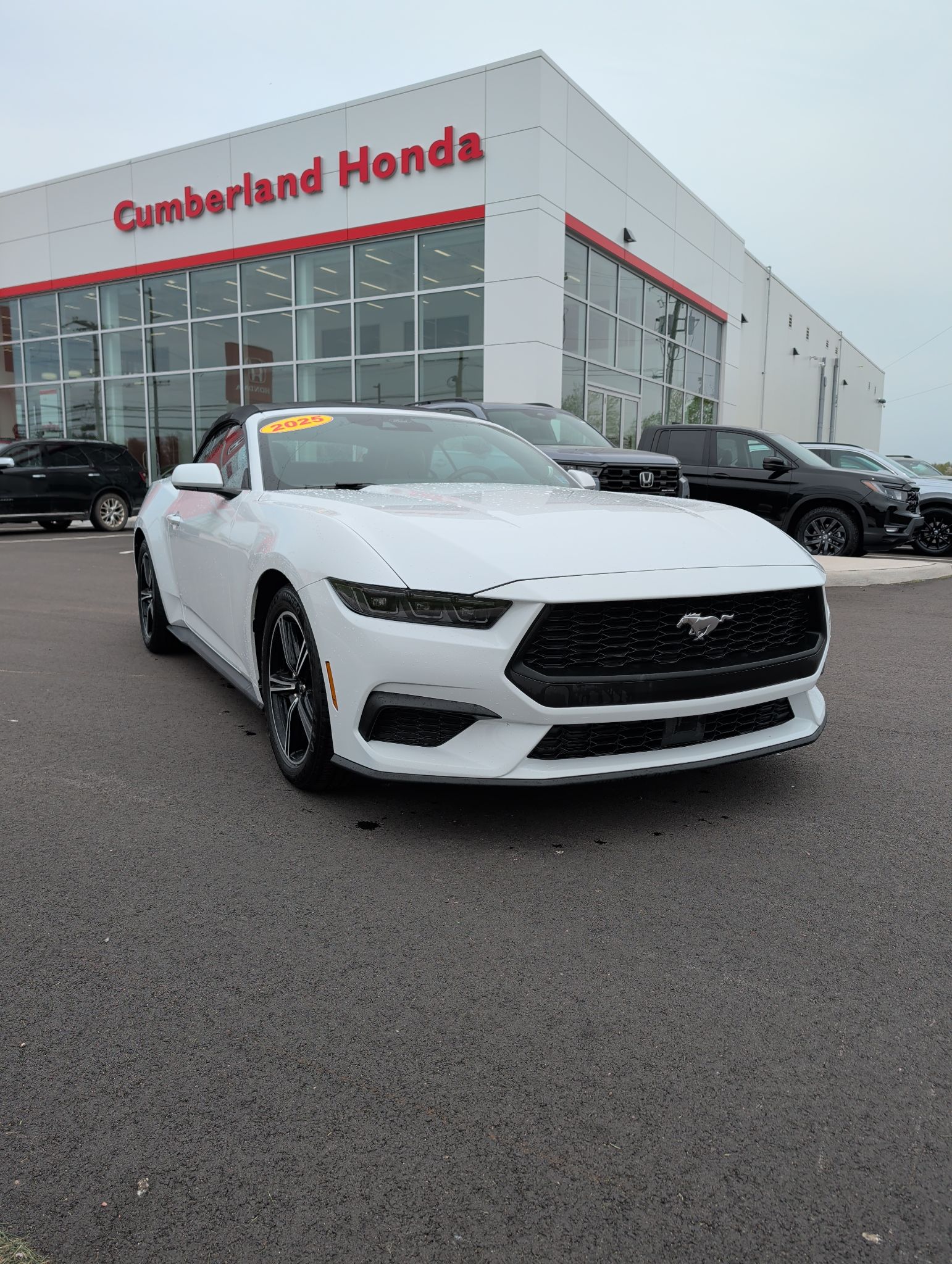 2025 Ford Mustang ECOBOOST