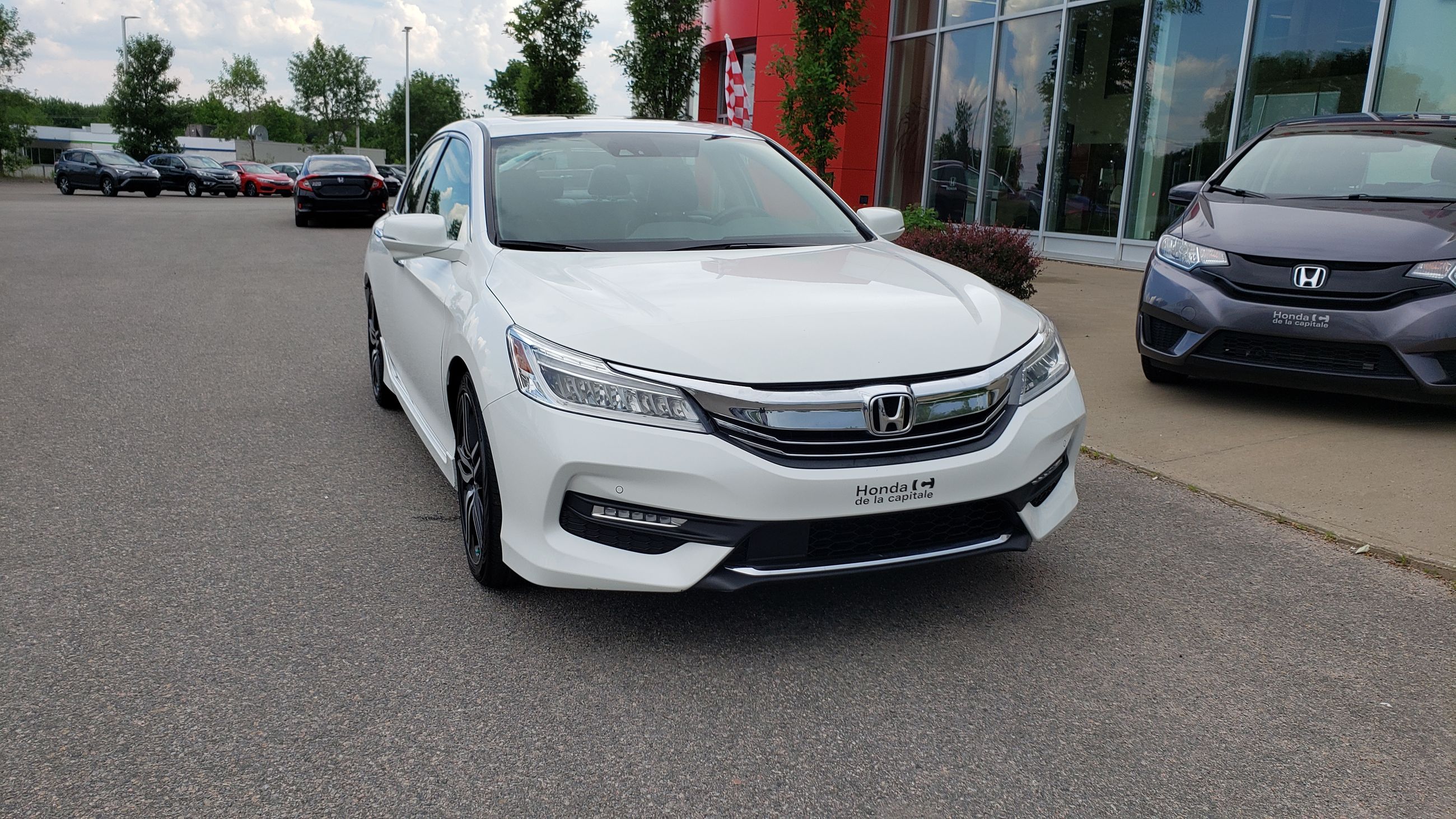 Honda accord xi