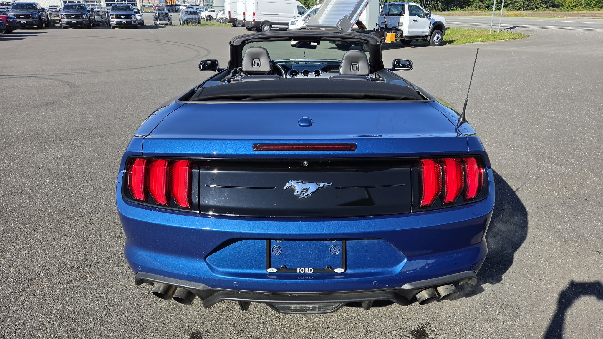 Ford Mustang 2023 — photo 6