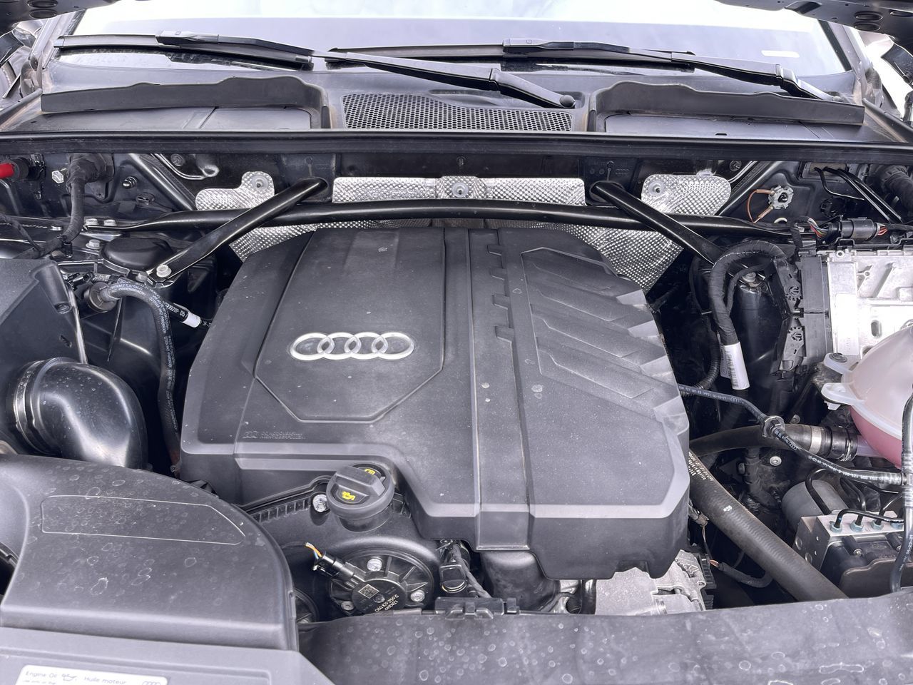 2022 Audi Q5 in Calgary, Alberta