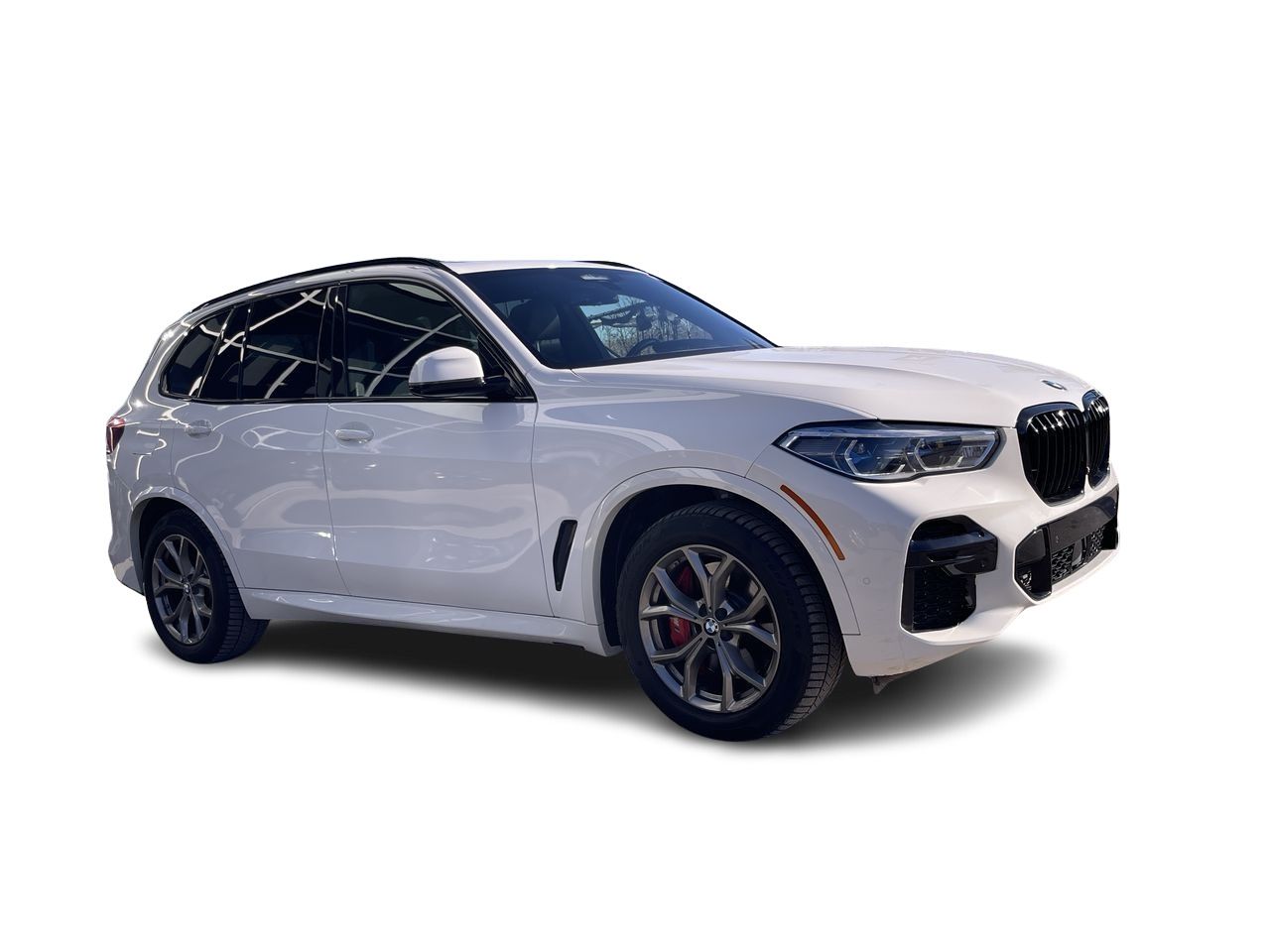 2022 BMW X5 in Calgary, Alberta