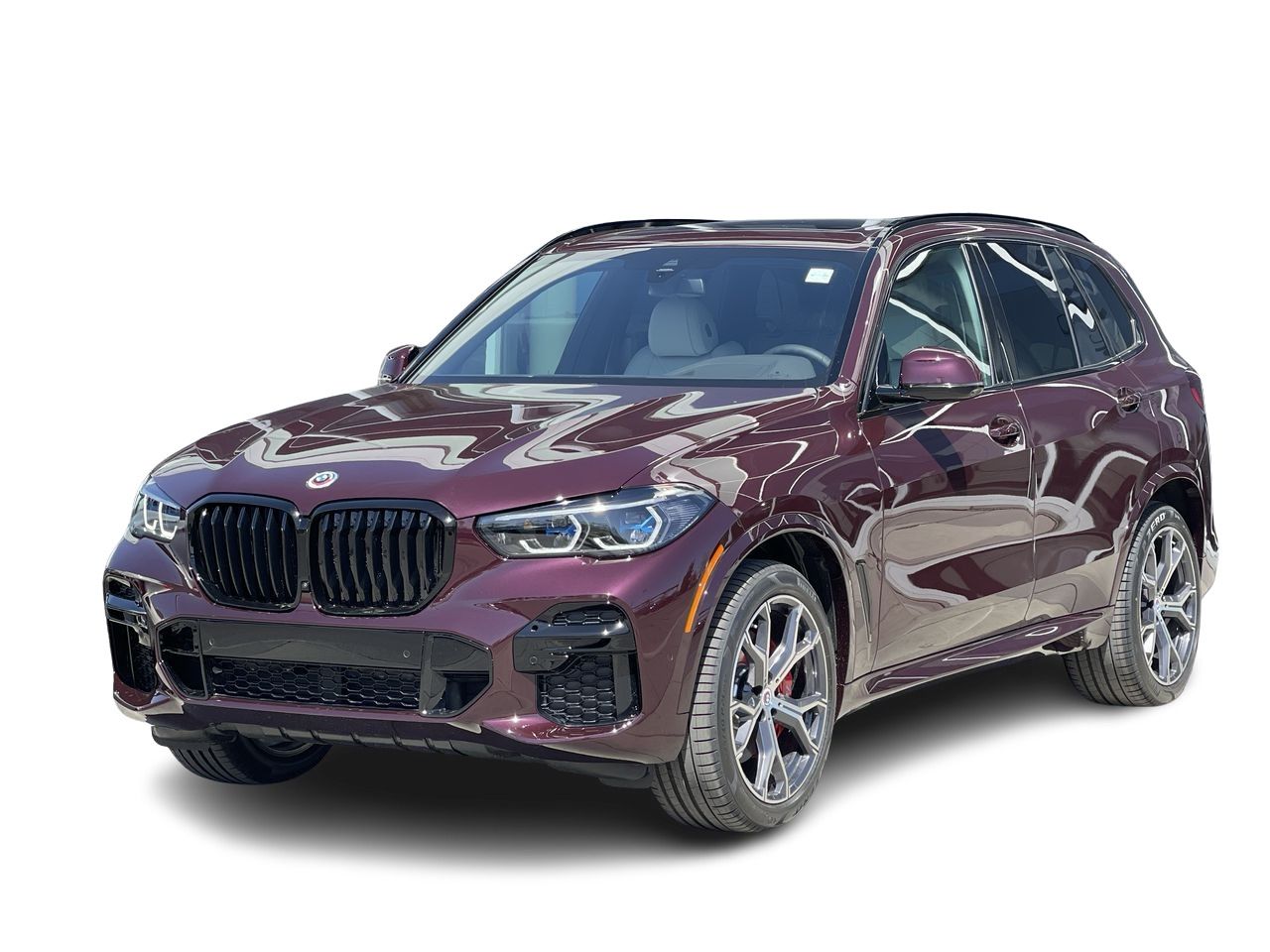 2023 BMW X5 xDrive40i, M SPORT EDITION, Carbon Trim