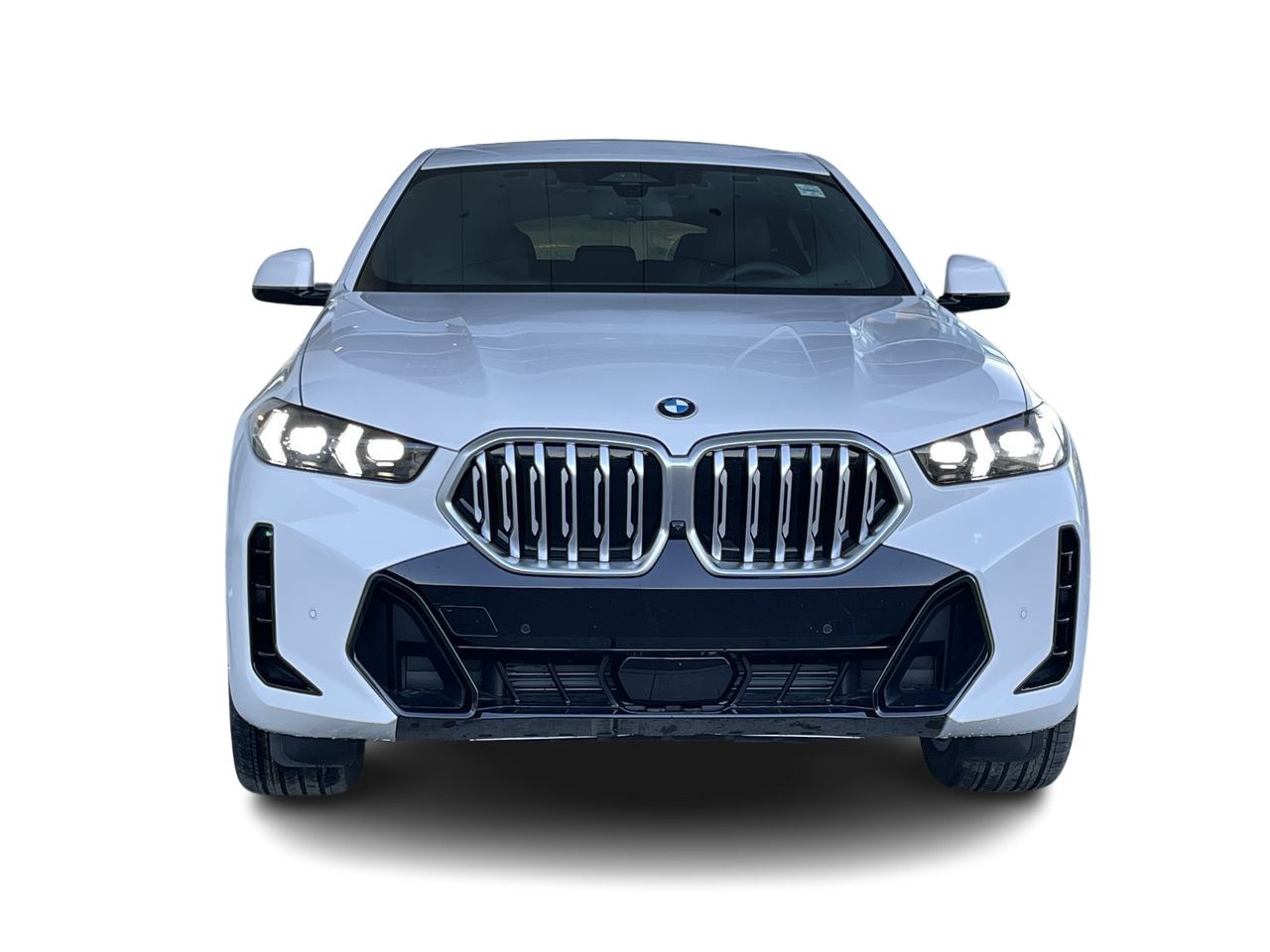 2024 BMW X6