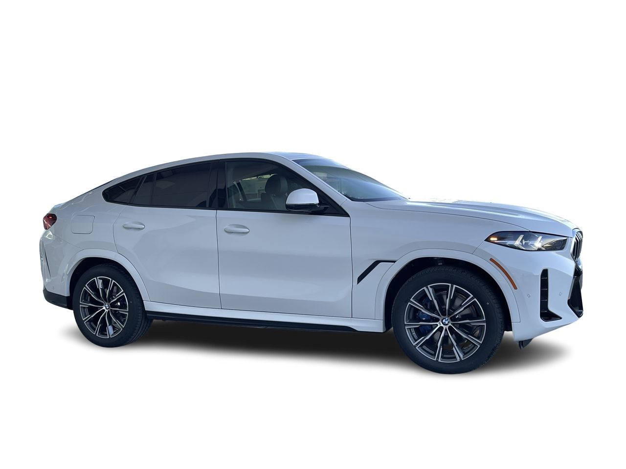 2024 BMW X6