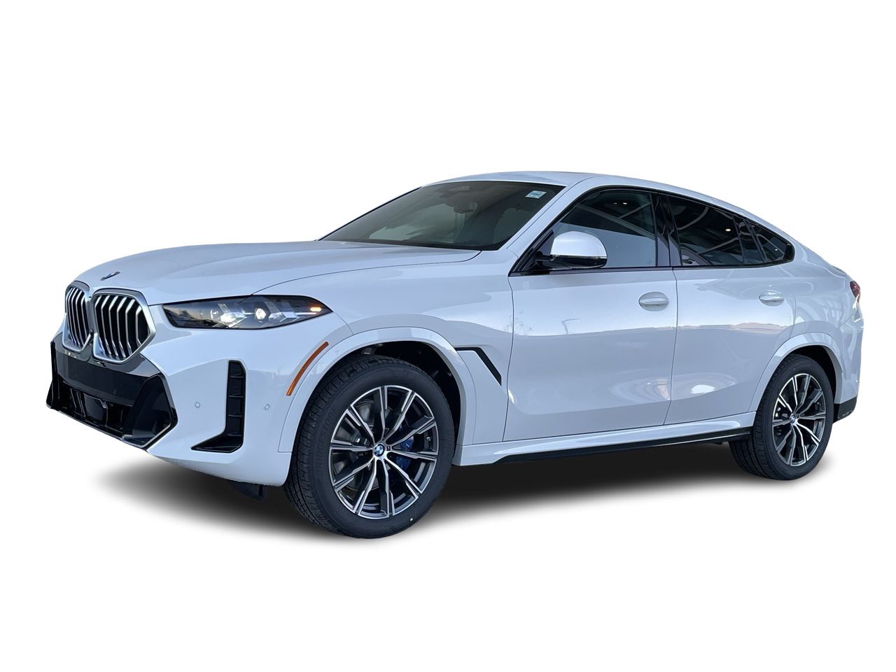 2024 BMW X6