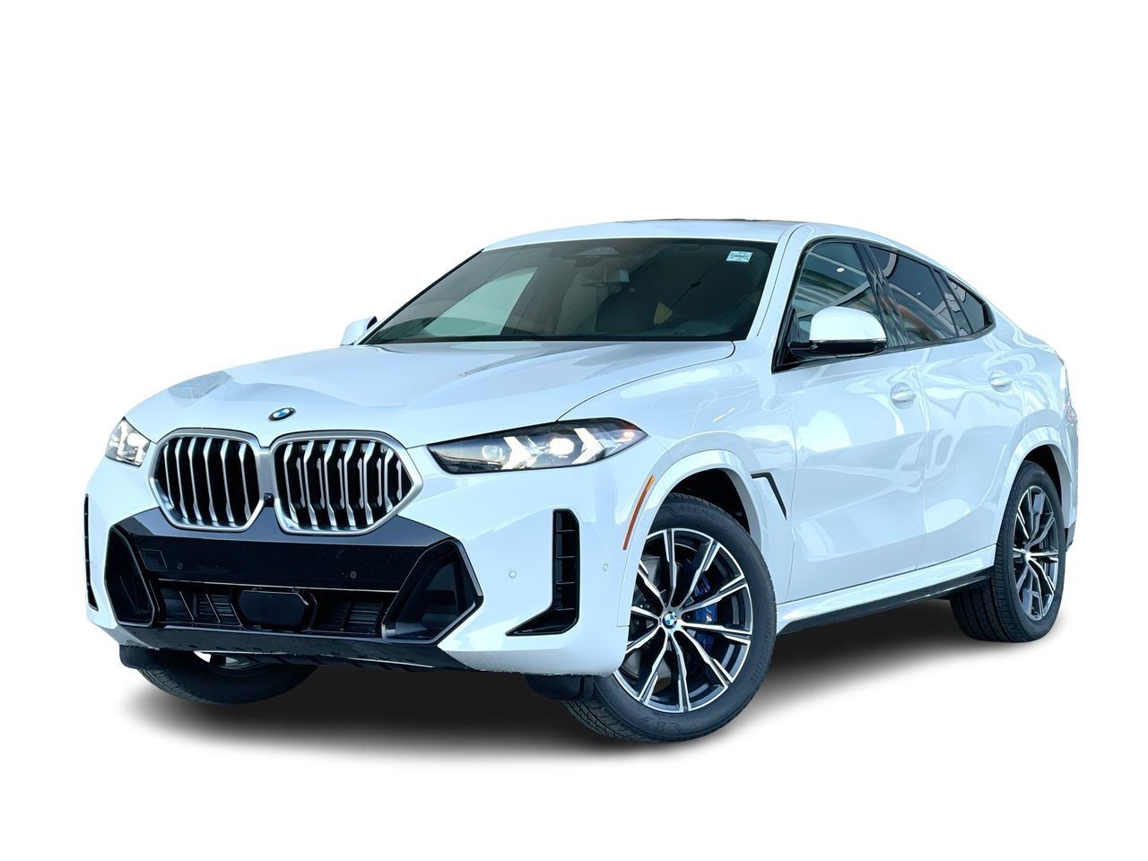 2024 BMW X6