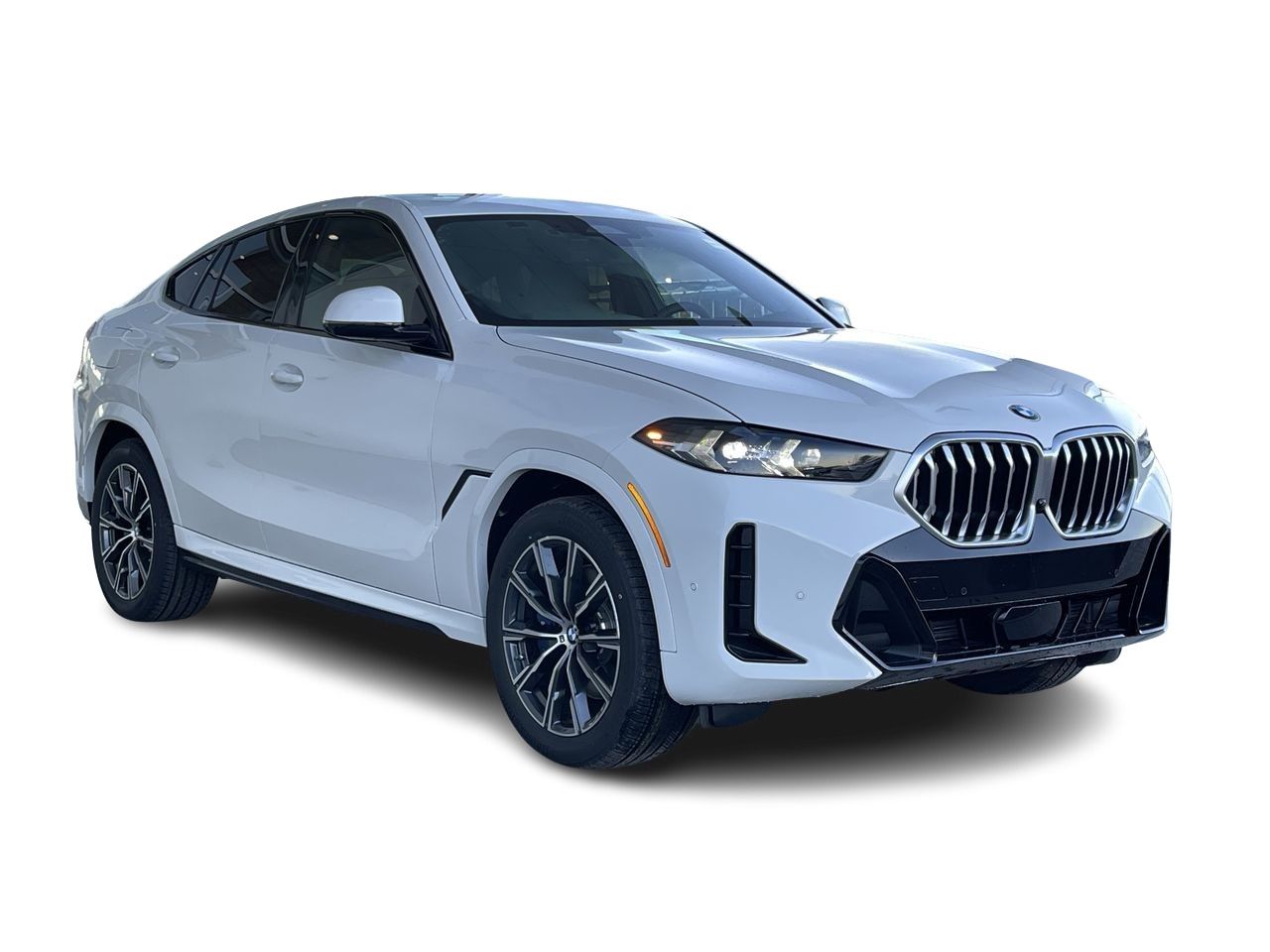 2024 BMW X6