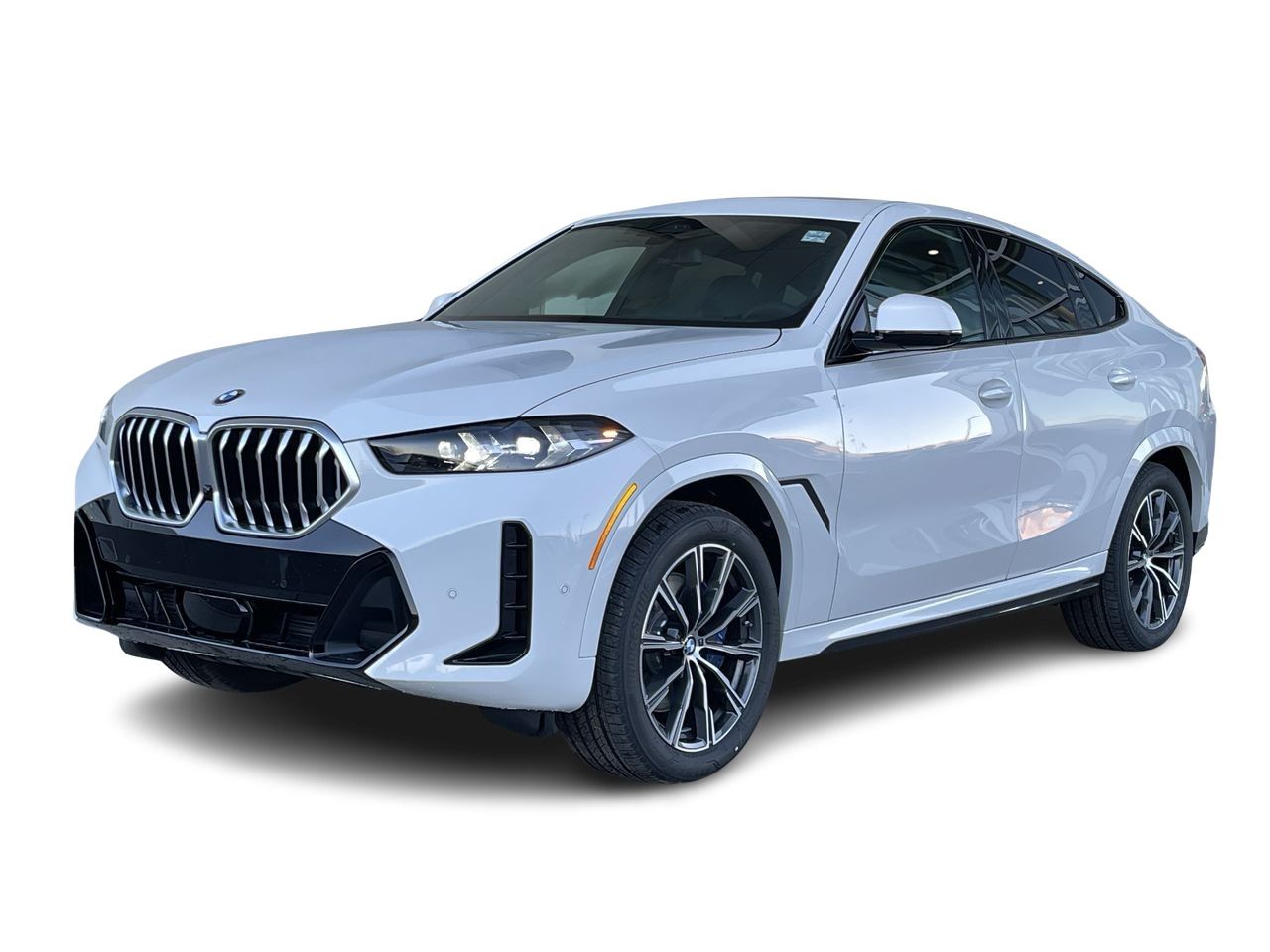 2024 BMW X6