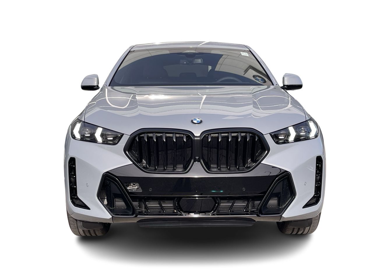 2024 BMW X6