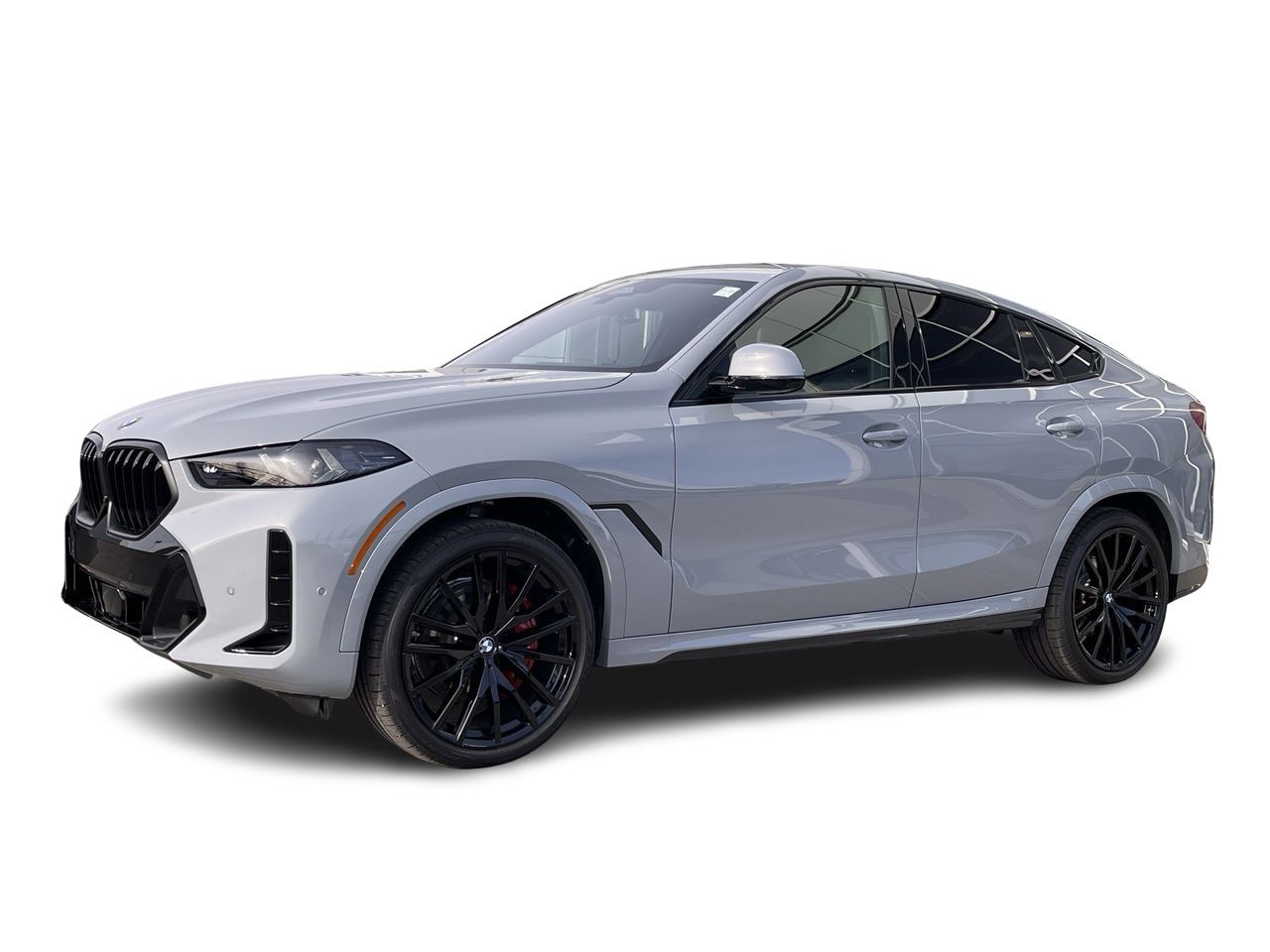 2024 BMW X6