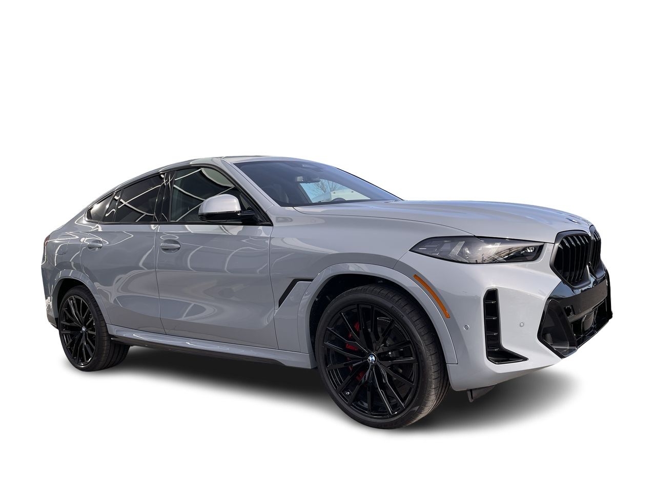 2024 BMW X6