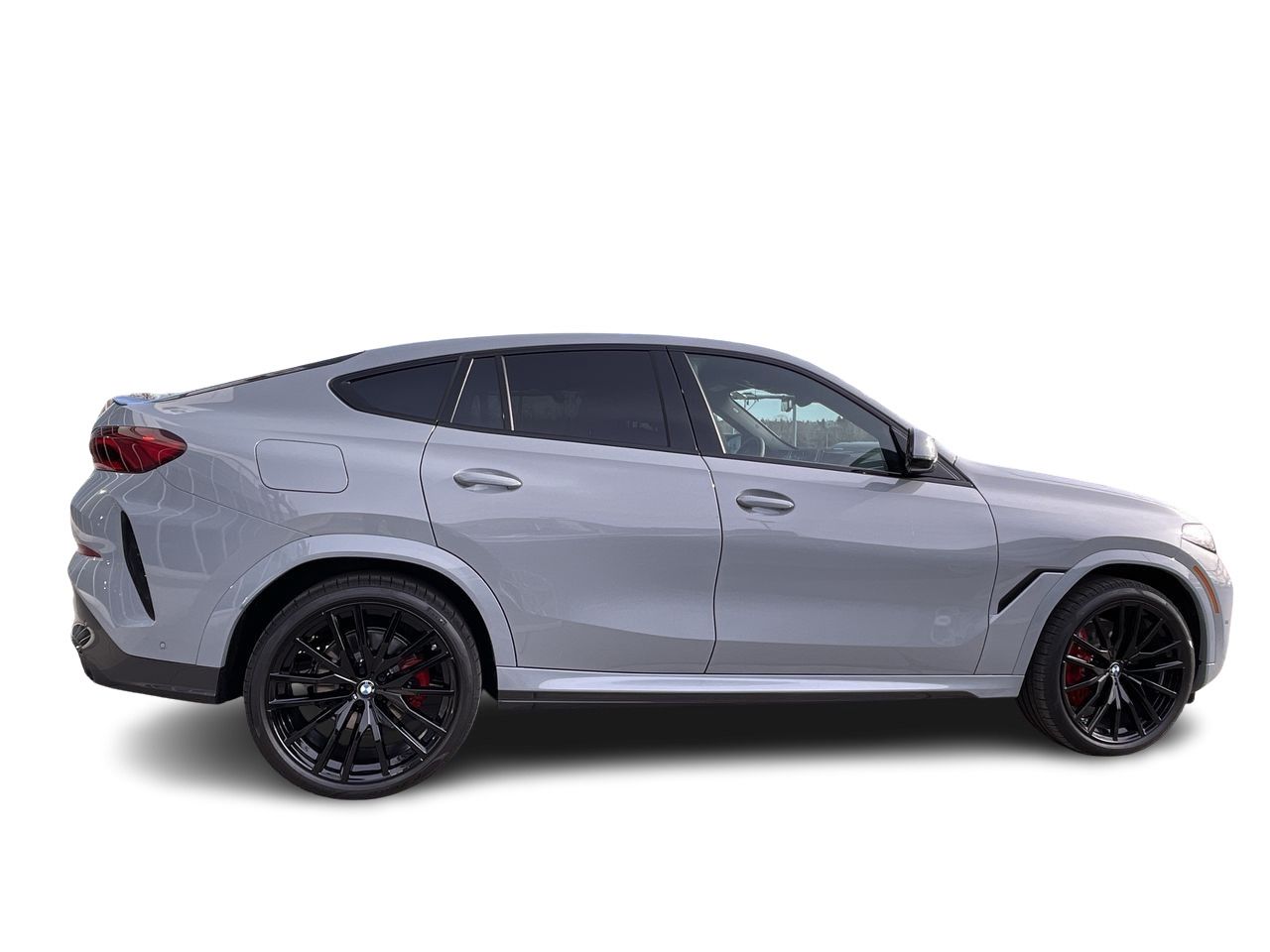 2024 BMW X6