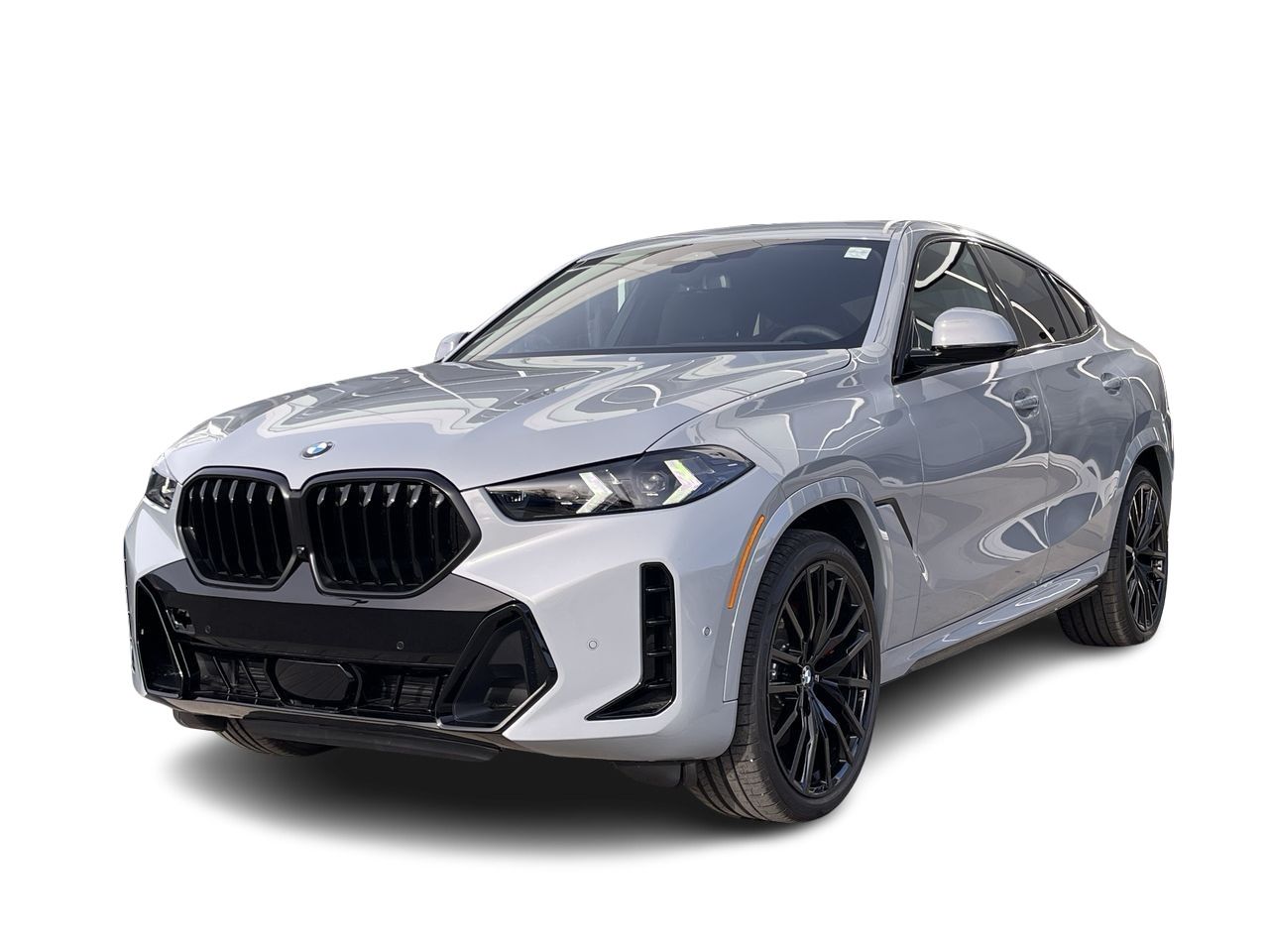 2024 BMW X6