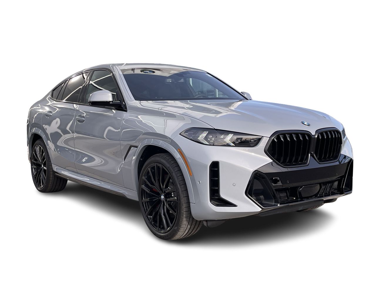 2024 BMW X6