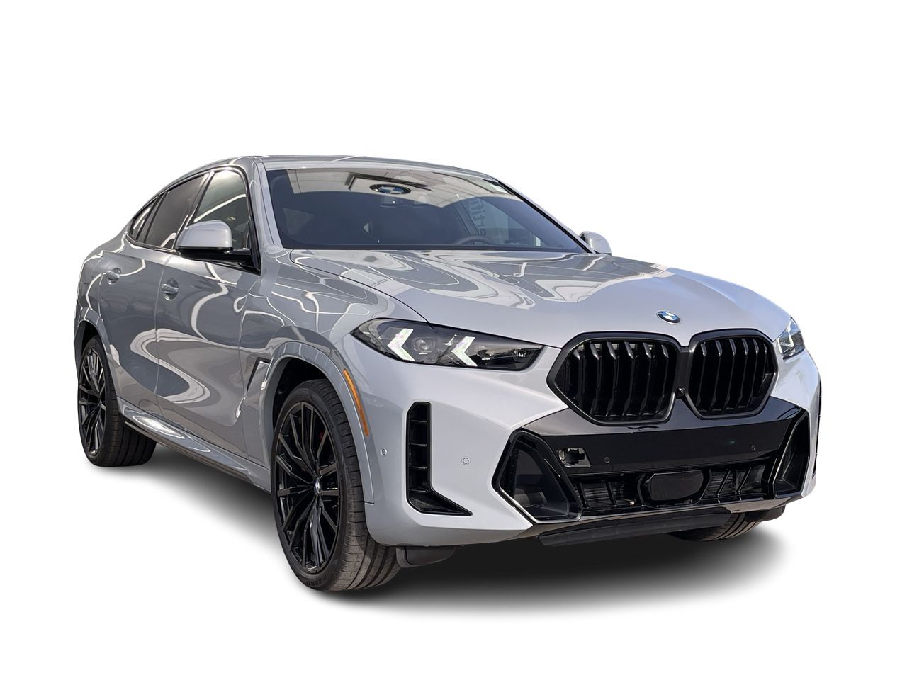 2024 BMW X6