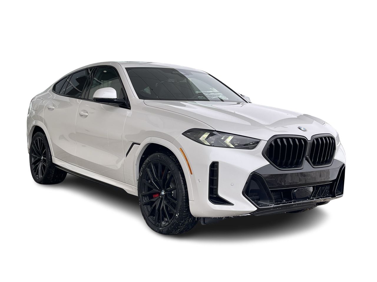 2024 BMW X6