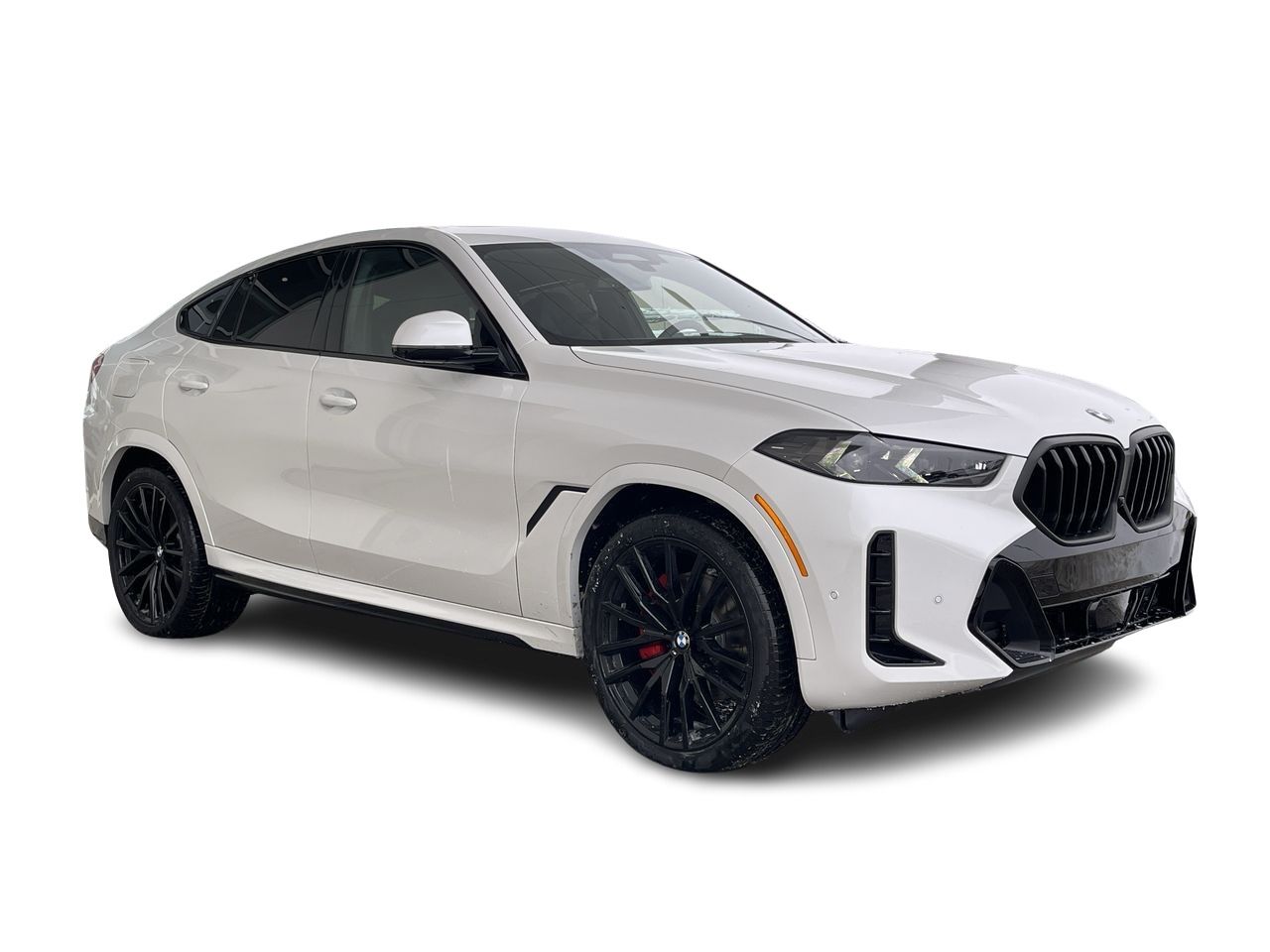 2024 BMW X6
