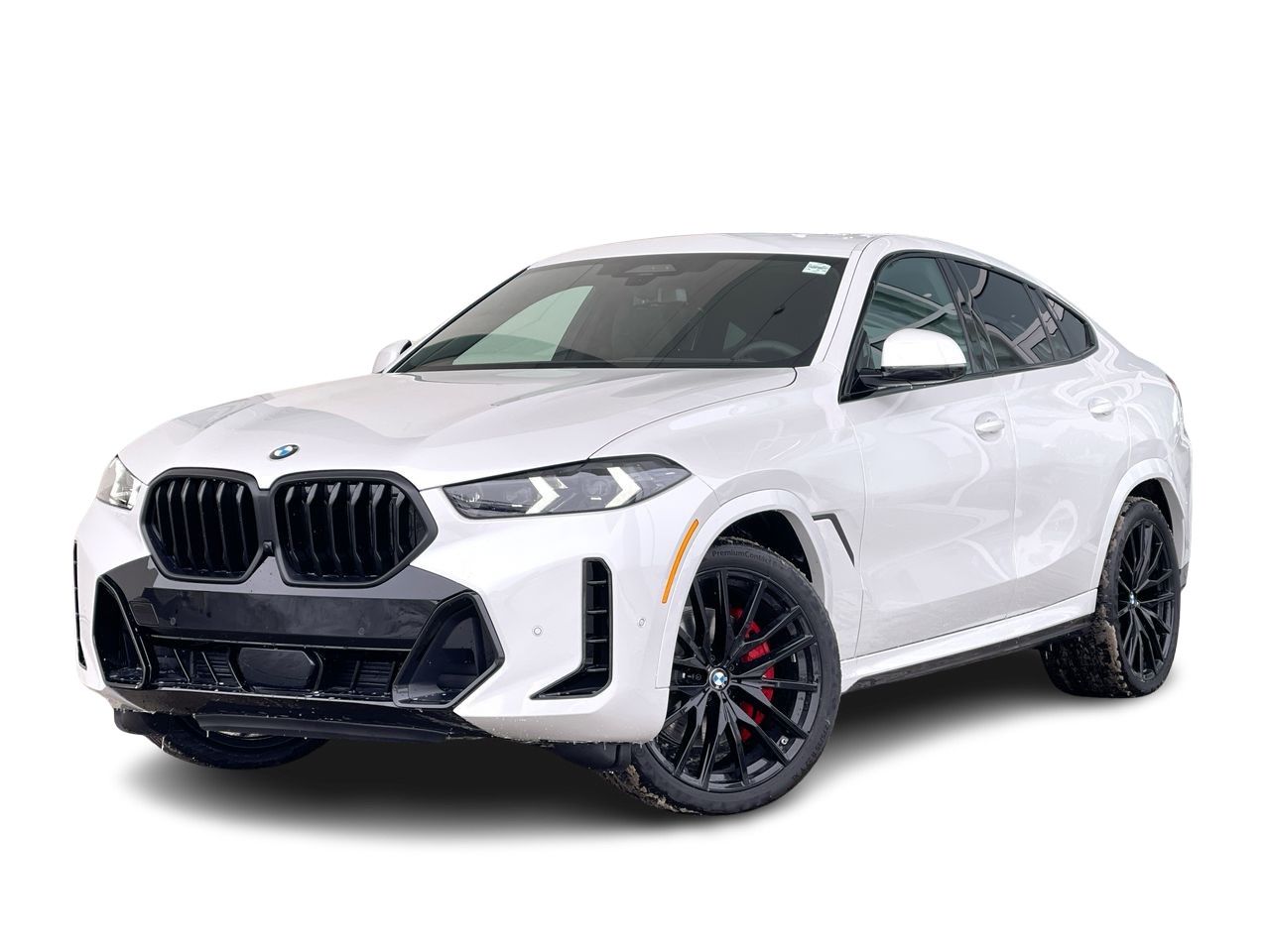 2024 BMW X6