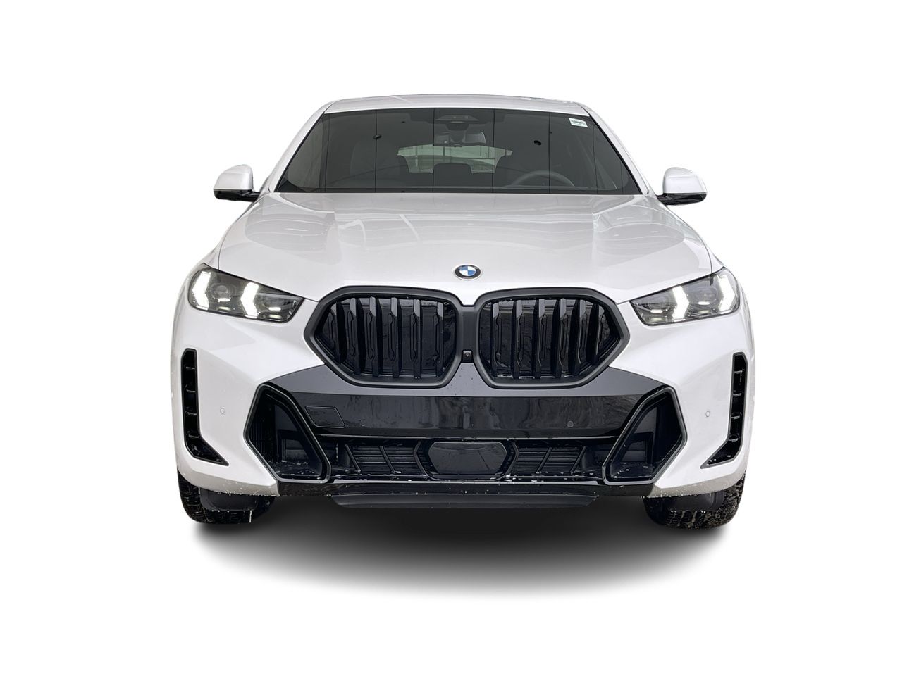 2024 BMW X6