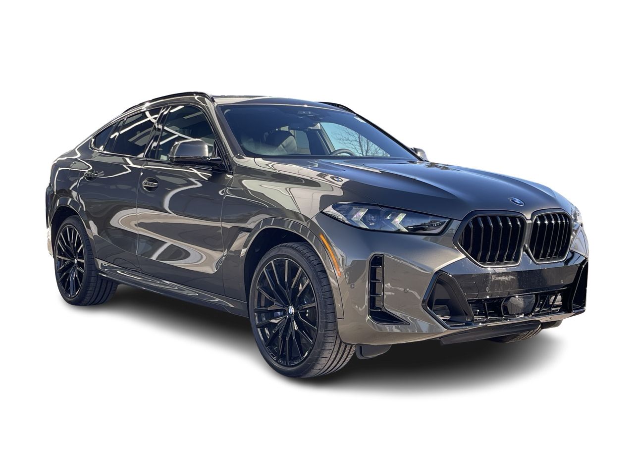 2024 BMW X6