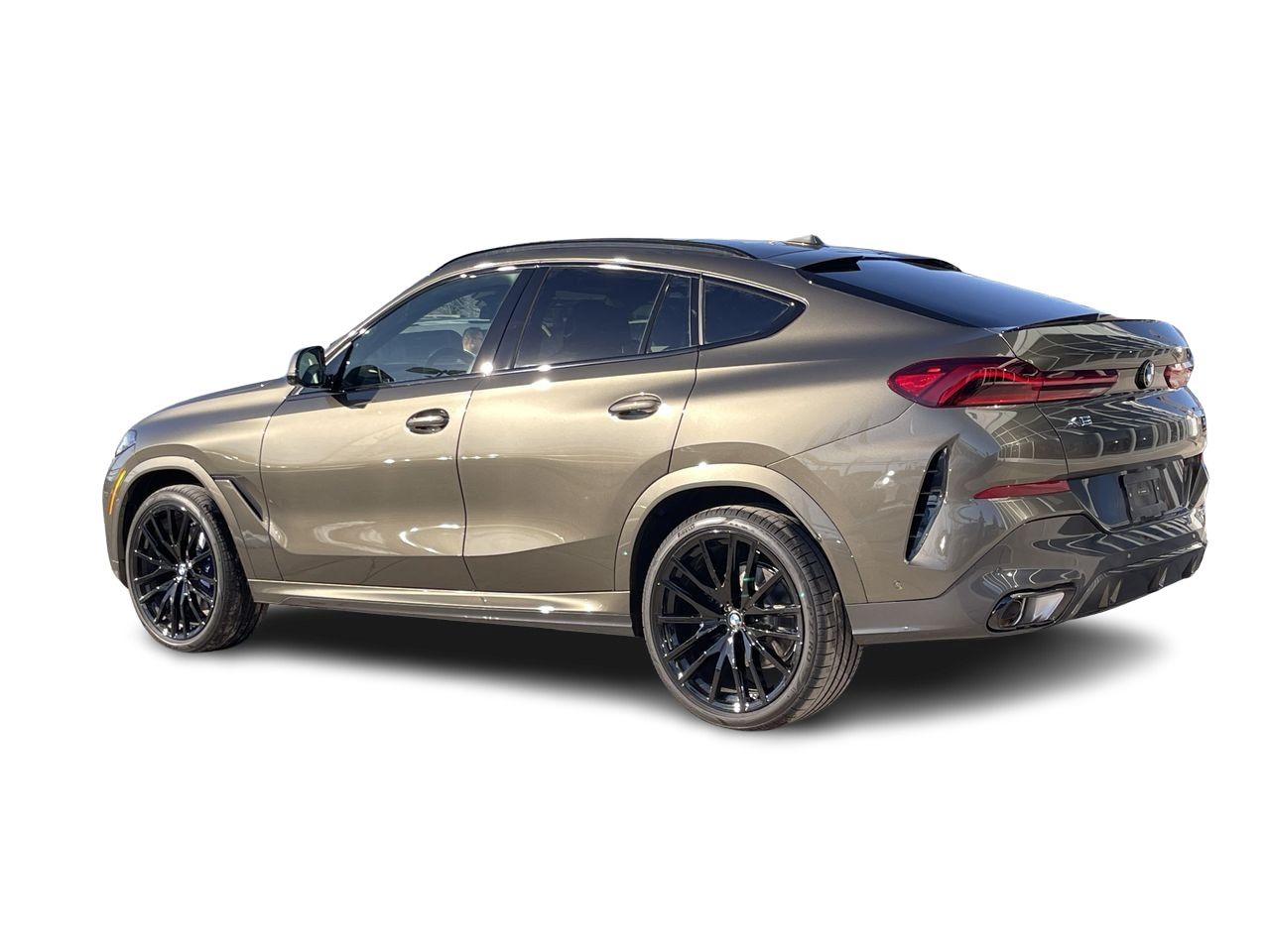 2024 BMW X6