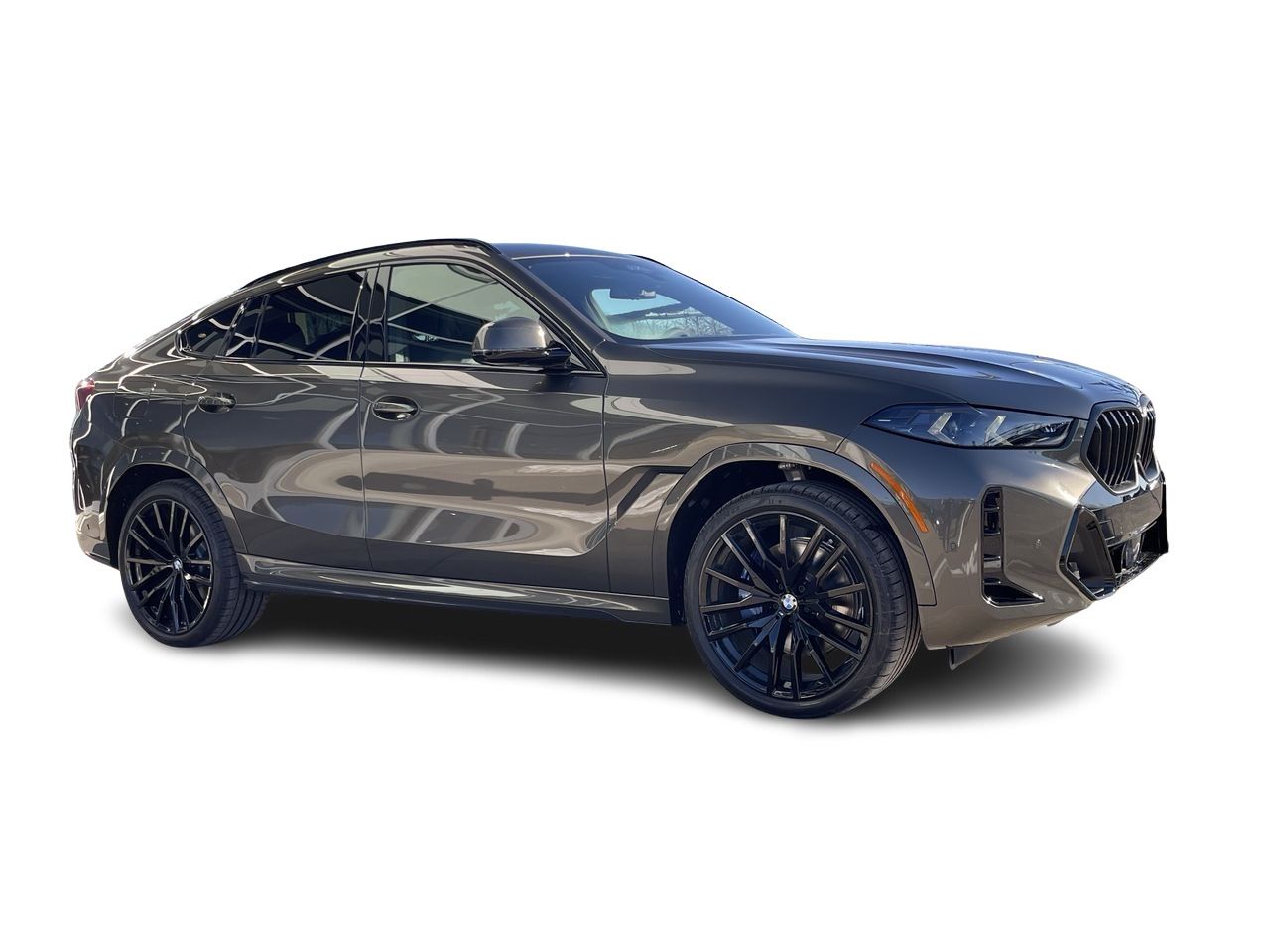 2024 BMW X6