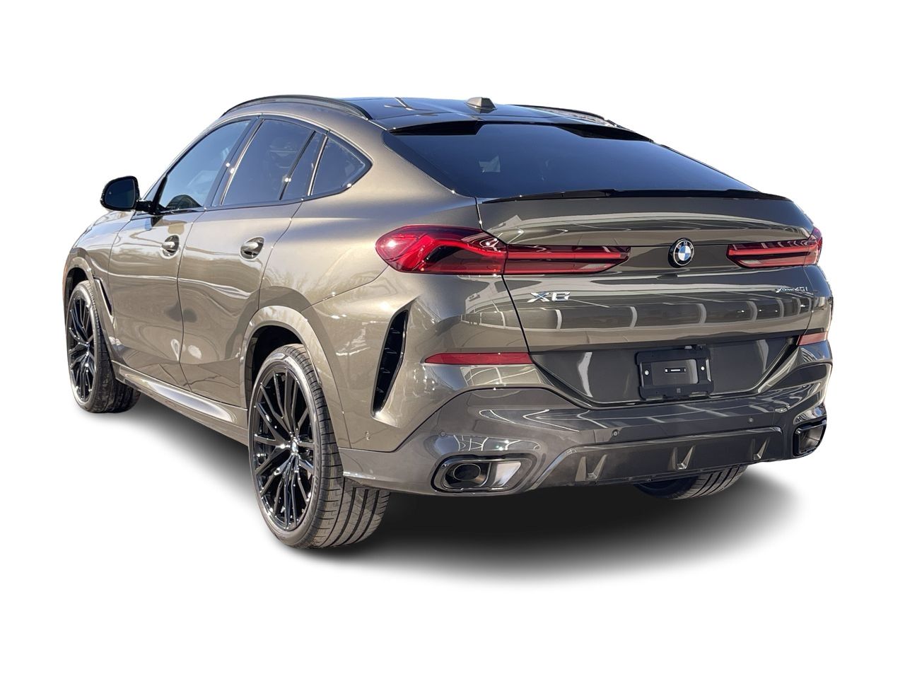 2024 BMW X6