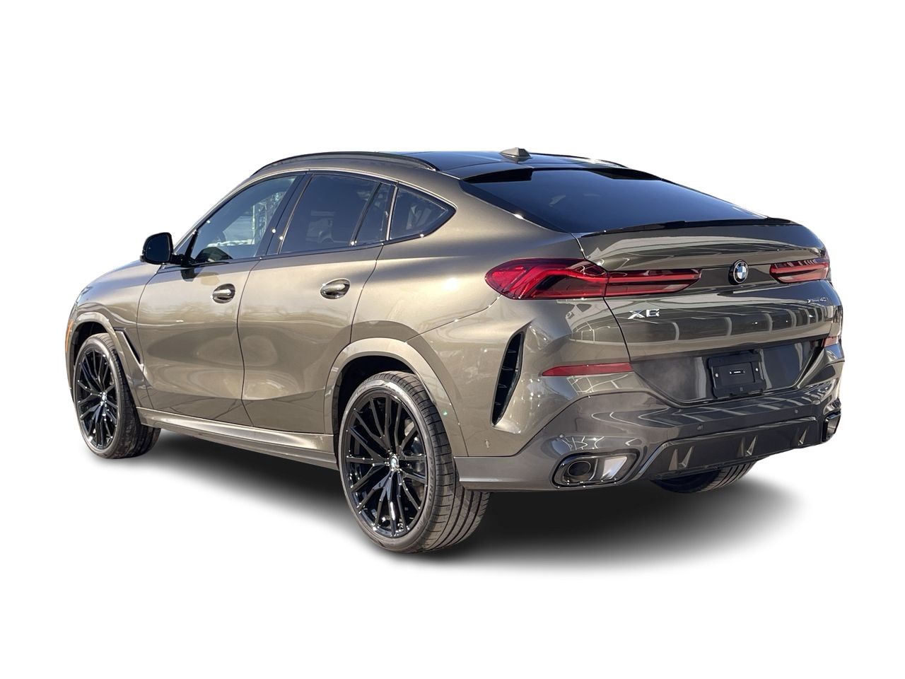2024 BMW X6
