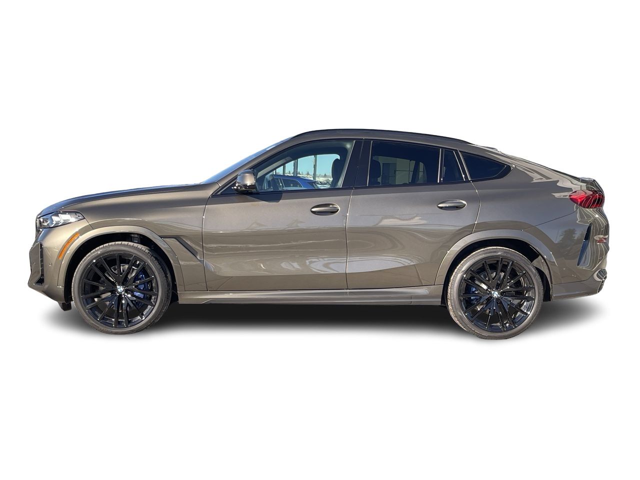 2024 BMW X6
