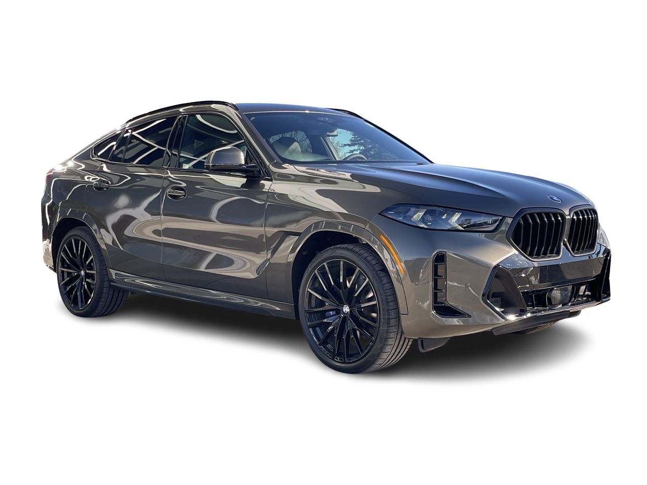 2024 BMW X6