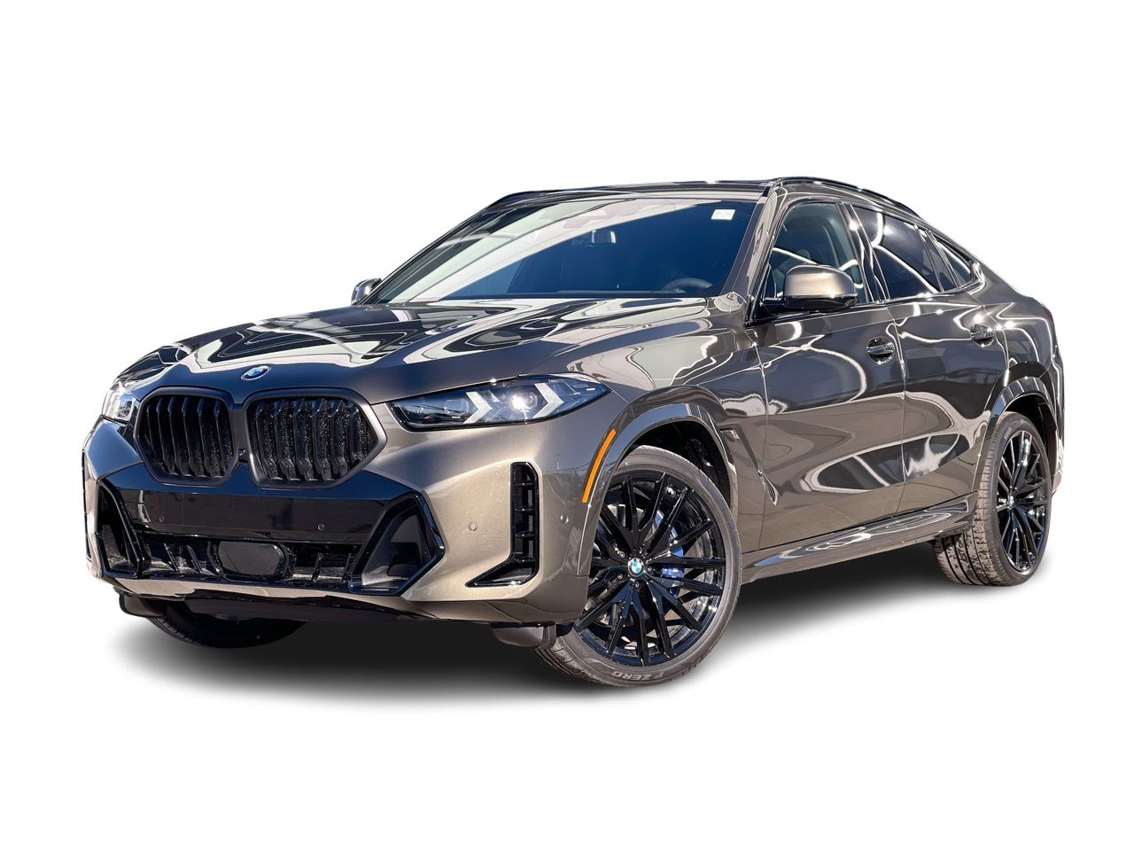 2024 BMW X6