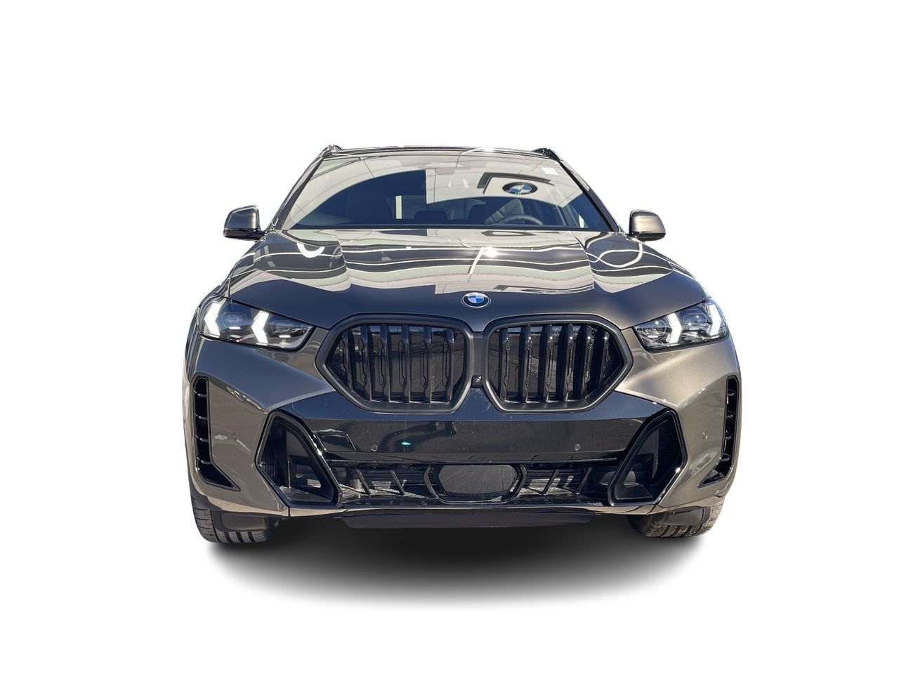 2024 BMW X6