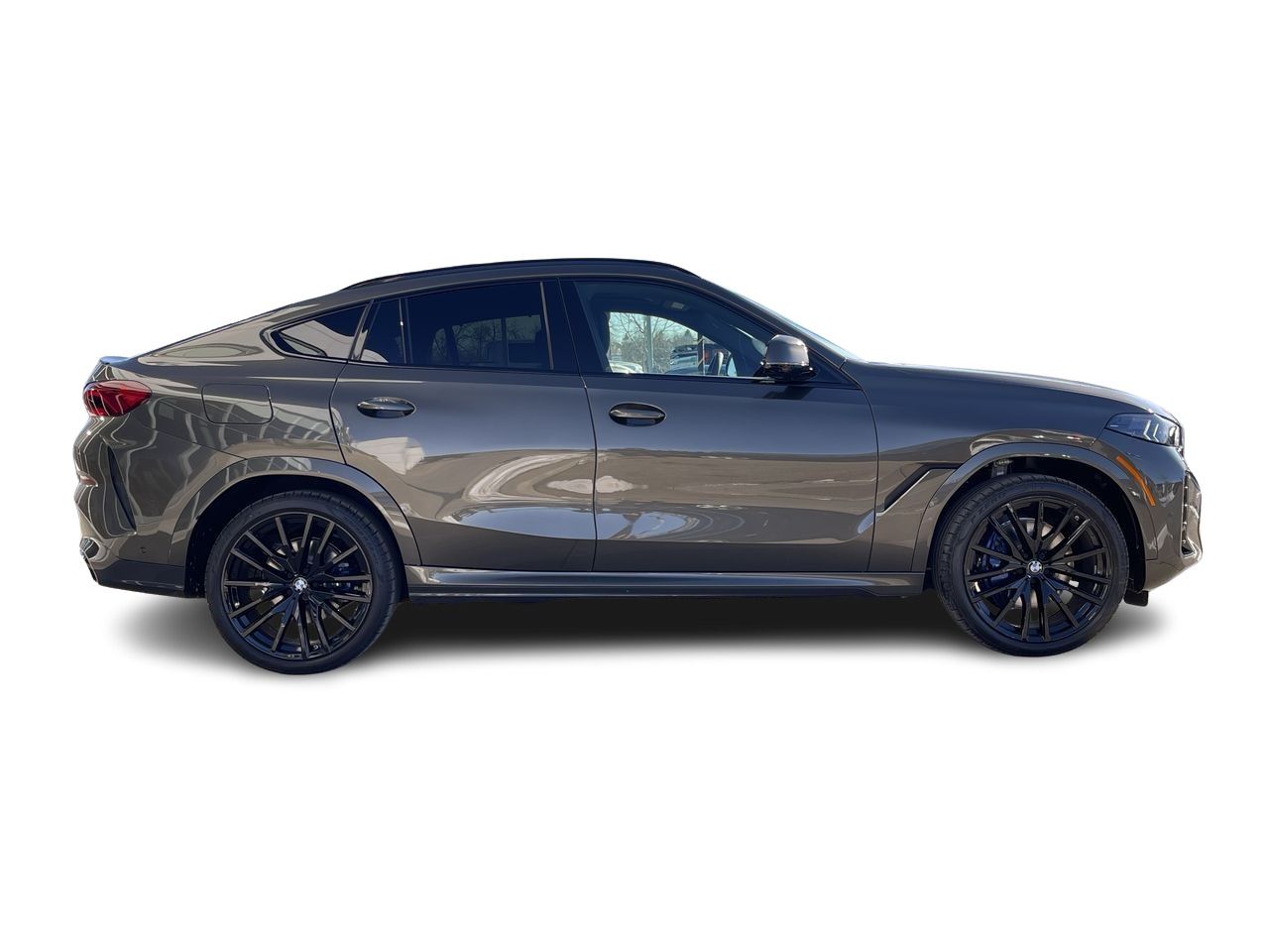 2024 BMW X6