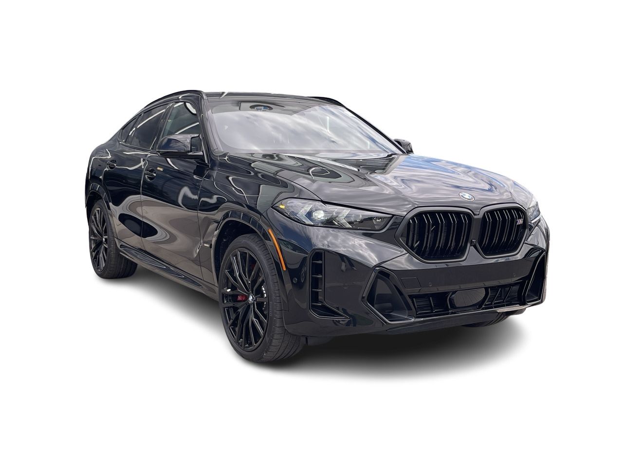 2026 BMW X6
