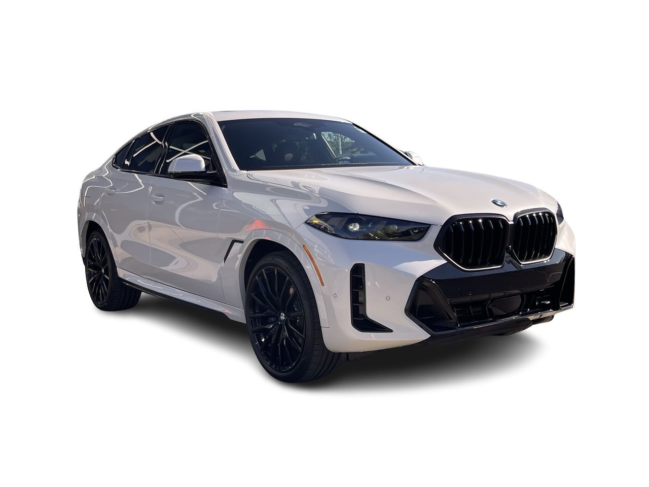 2026 BMW X6