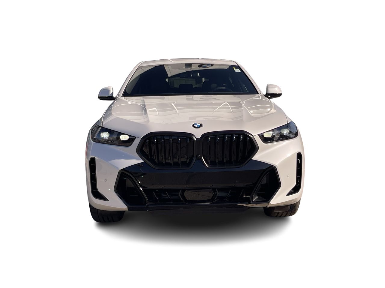 2026 BMW X6