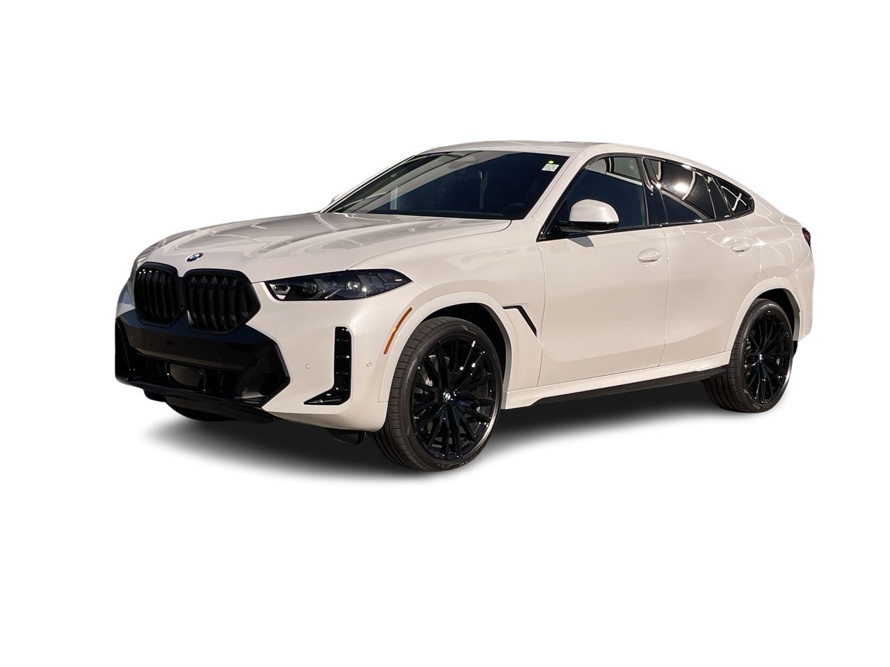 2026 BMW X6