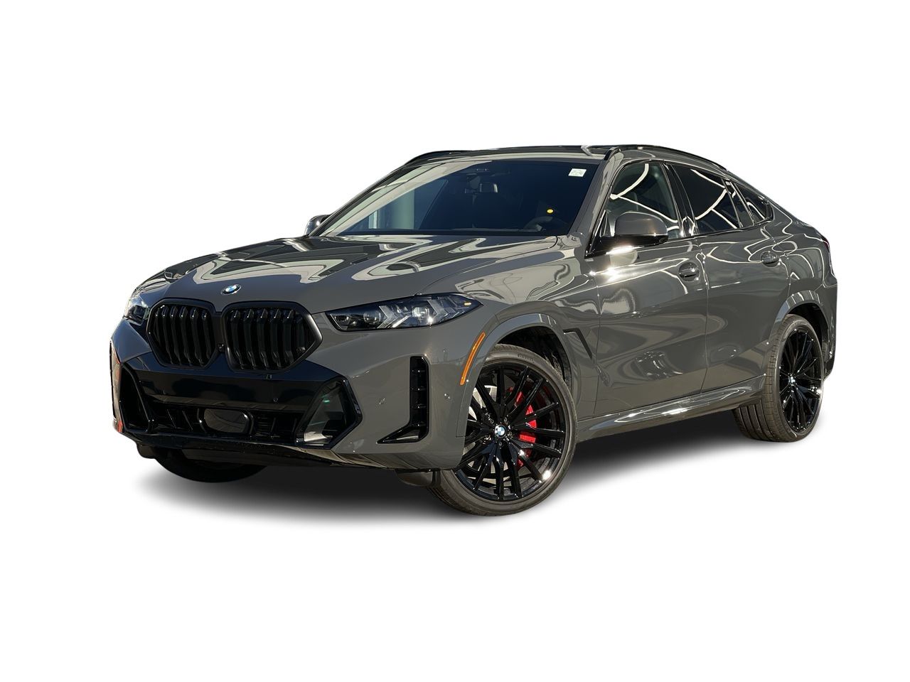 2026 BMW X6